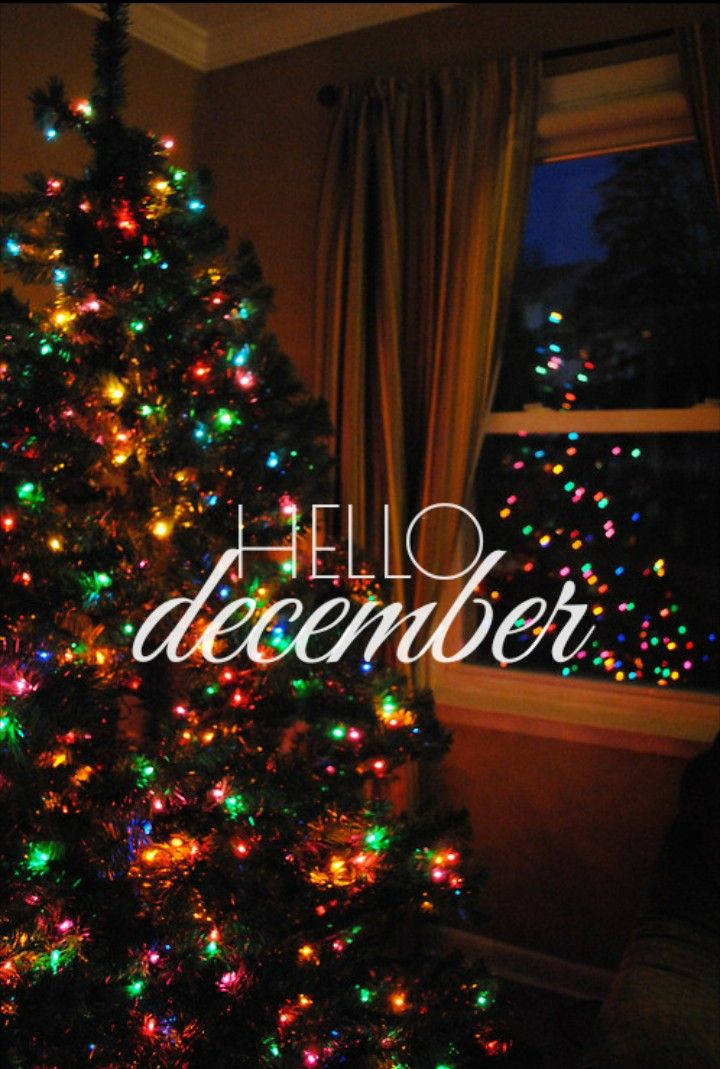 Hei Desember Stor Juletre Bakgrunner