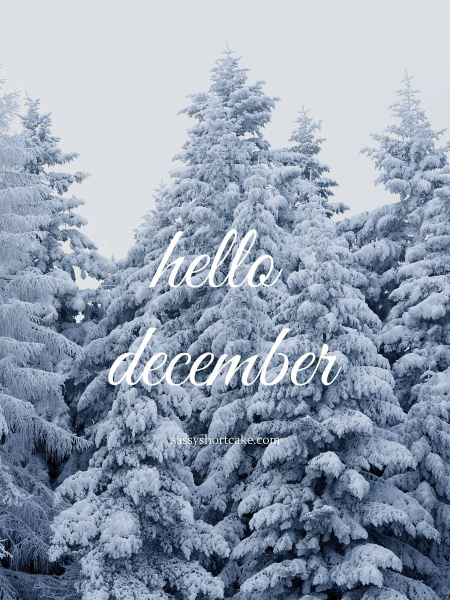 Hei Desember Vakre Snødekte Trær Bakgrunner
