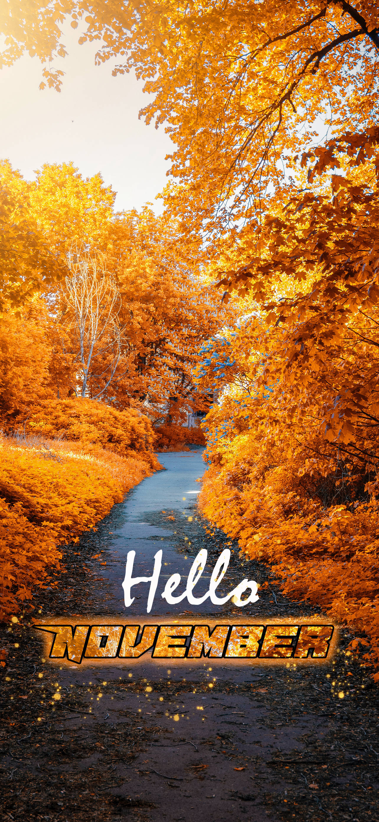 Hei November Gul Hagegang Bakgrunner