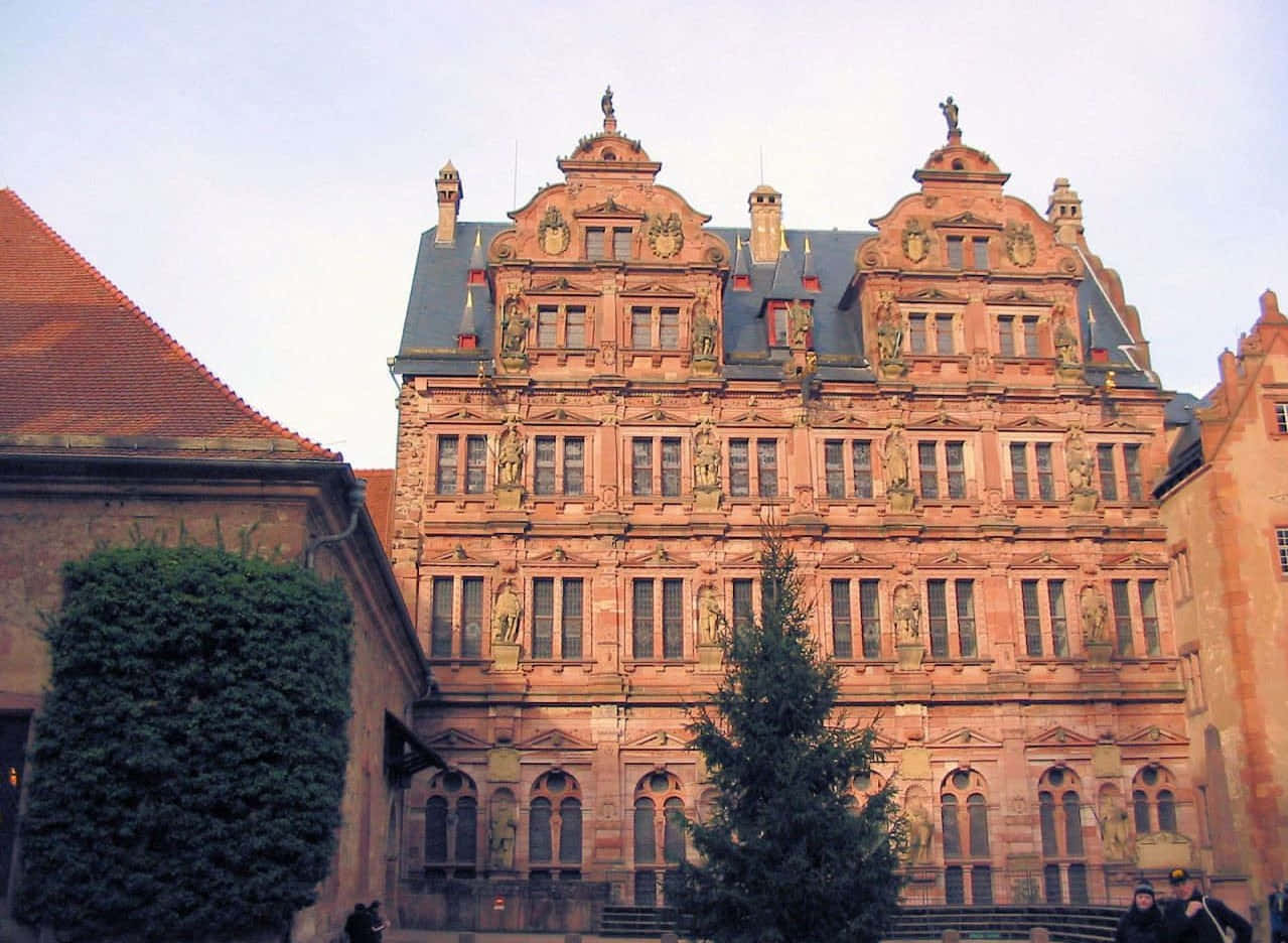 Heidelberg slott fra froskeperspektiv Bakgrunner