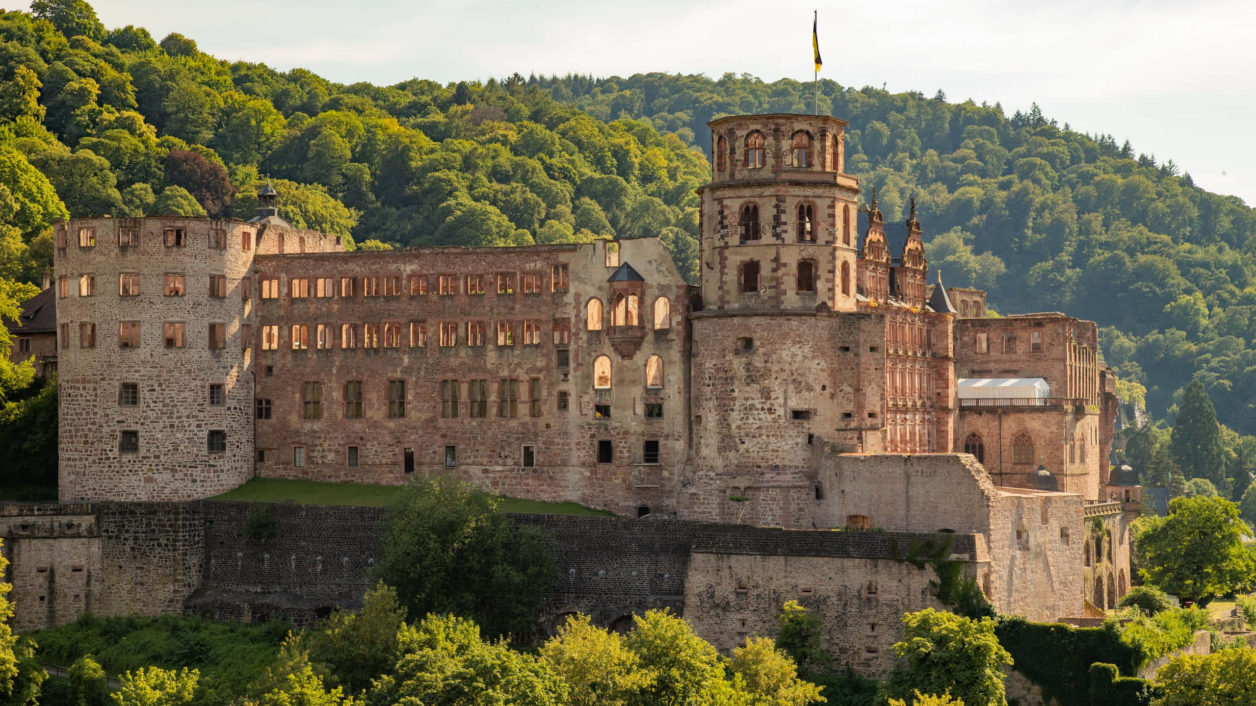 Heidelberg slott om morgenen Bakgrunner