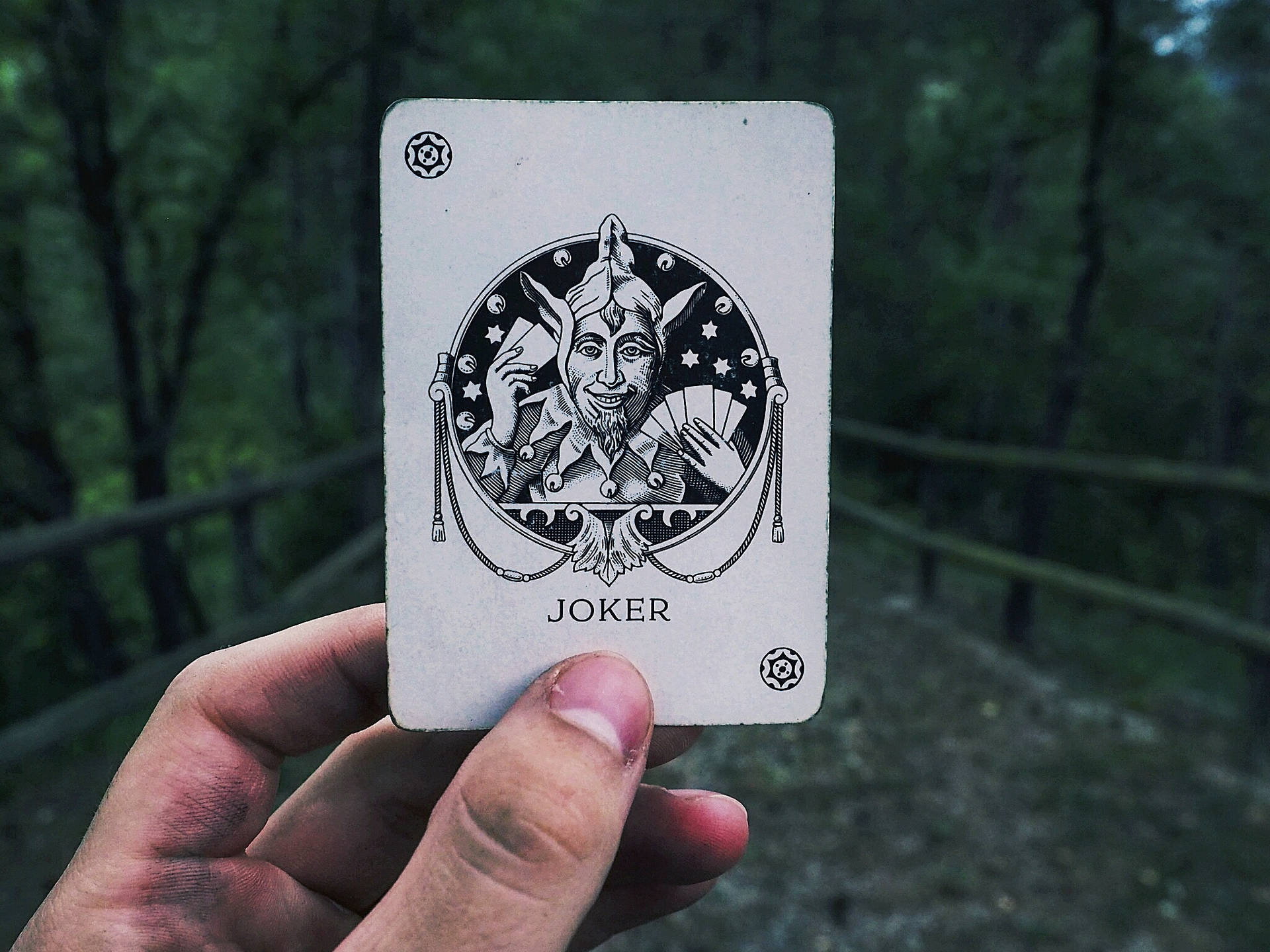 Hånd som holder et jokerkort med en uskarp landeveisbakgrunn.