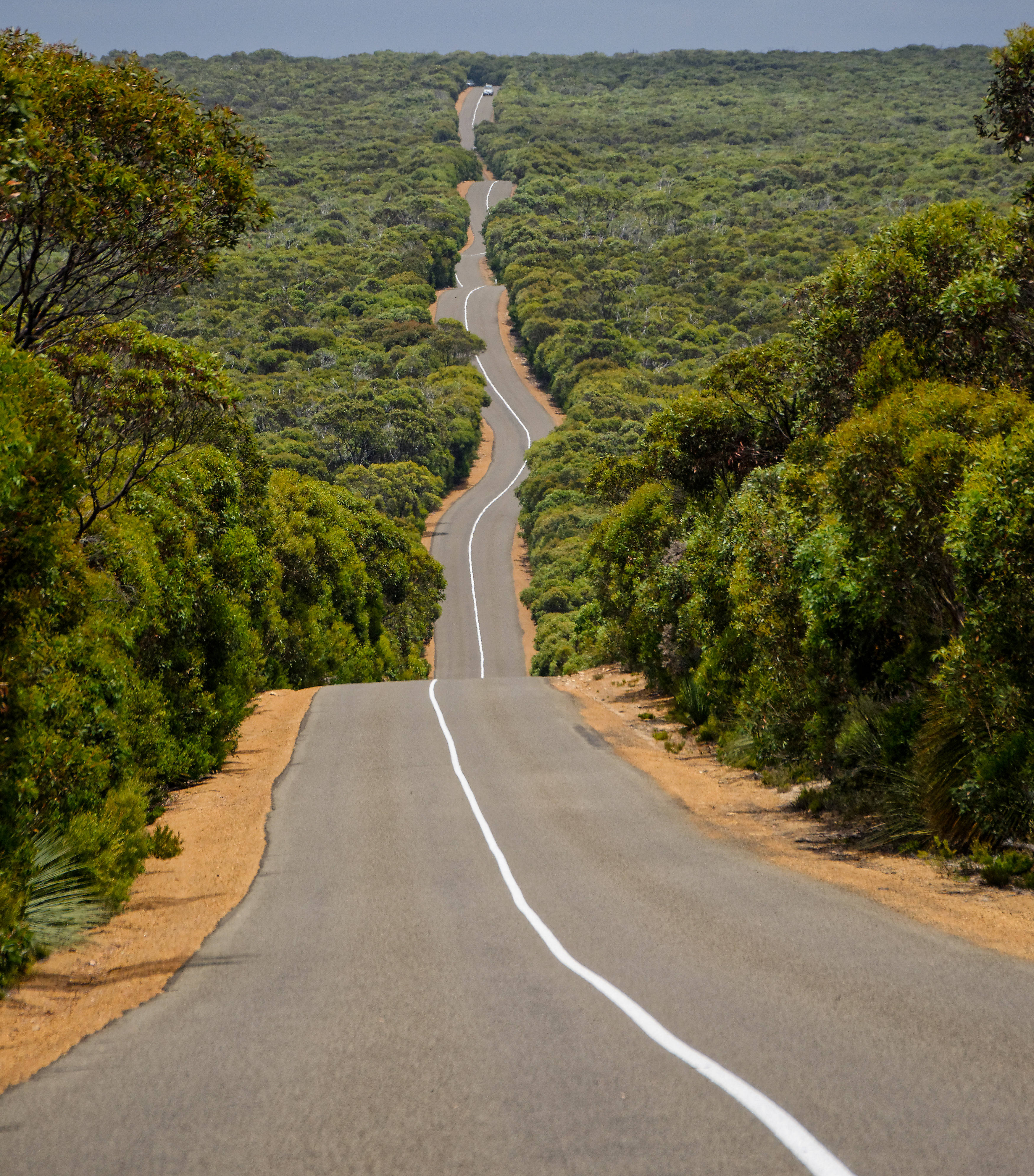 Highway 1 i Australia Bakgrunner