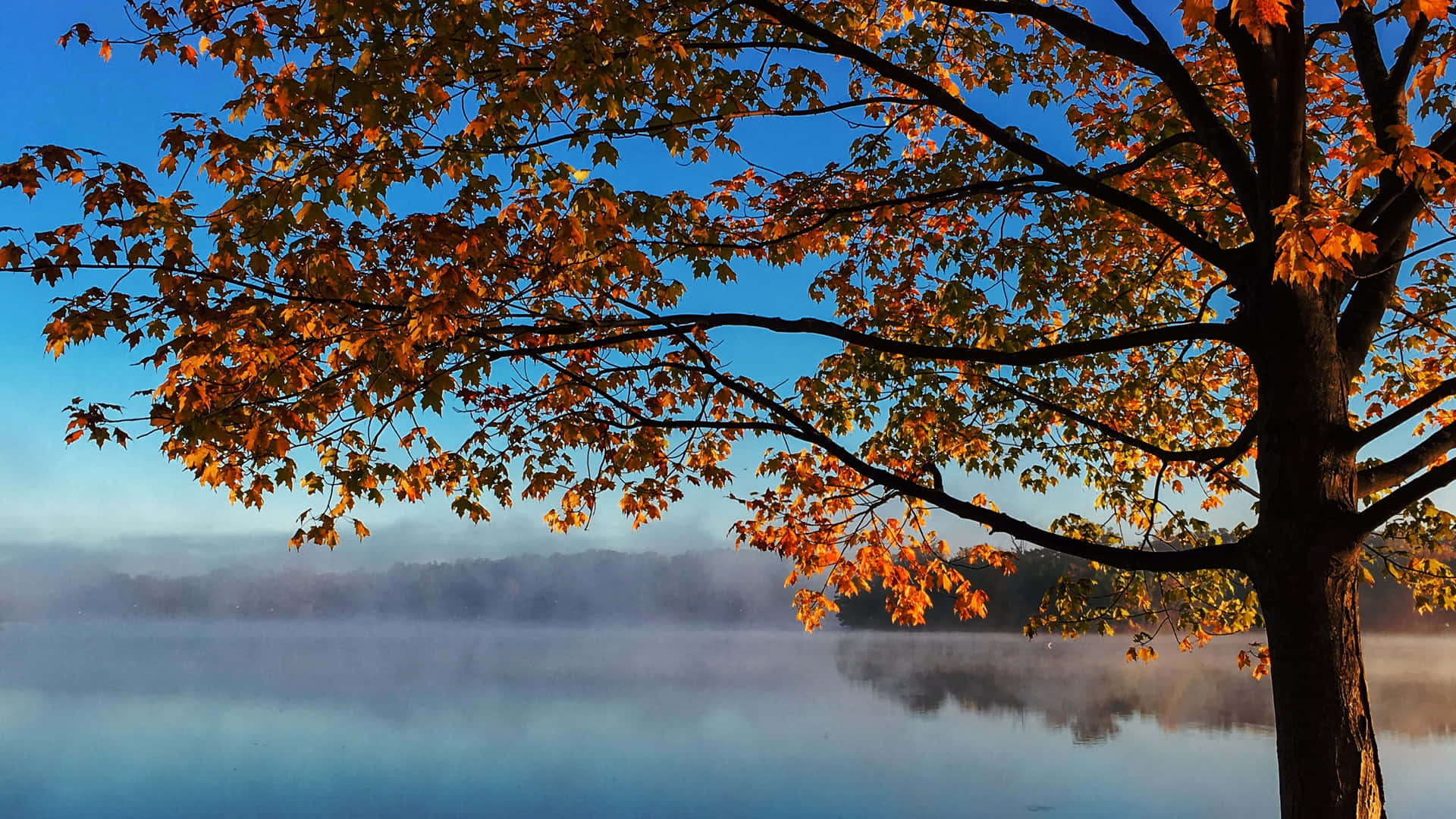 Høst 3840 x 2160 bakgrunn Bakgrunner