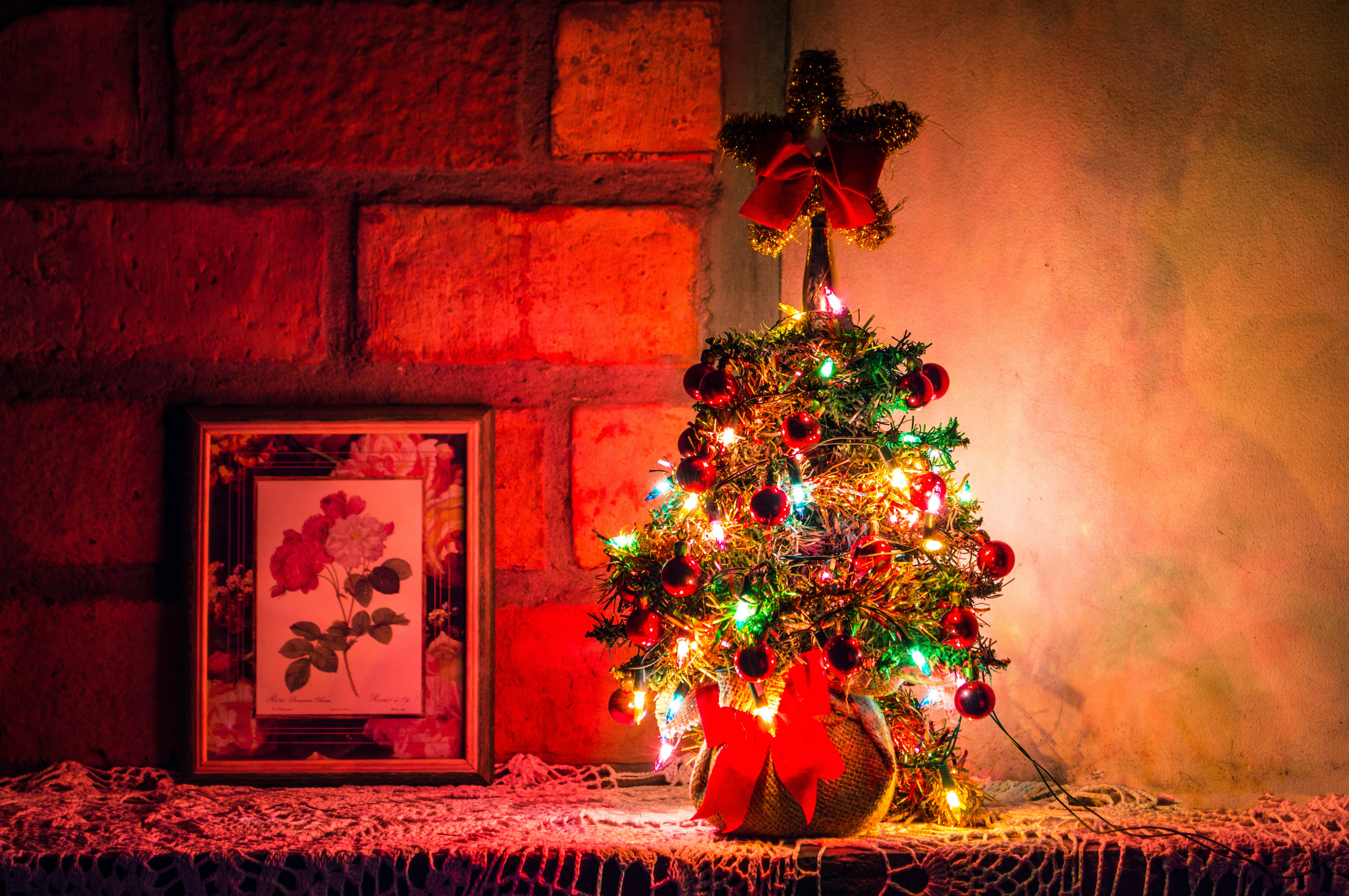 Høyoppløselig juletre i miniatyr Bakgrunner