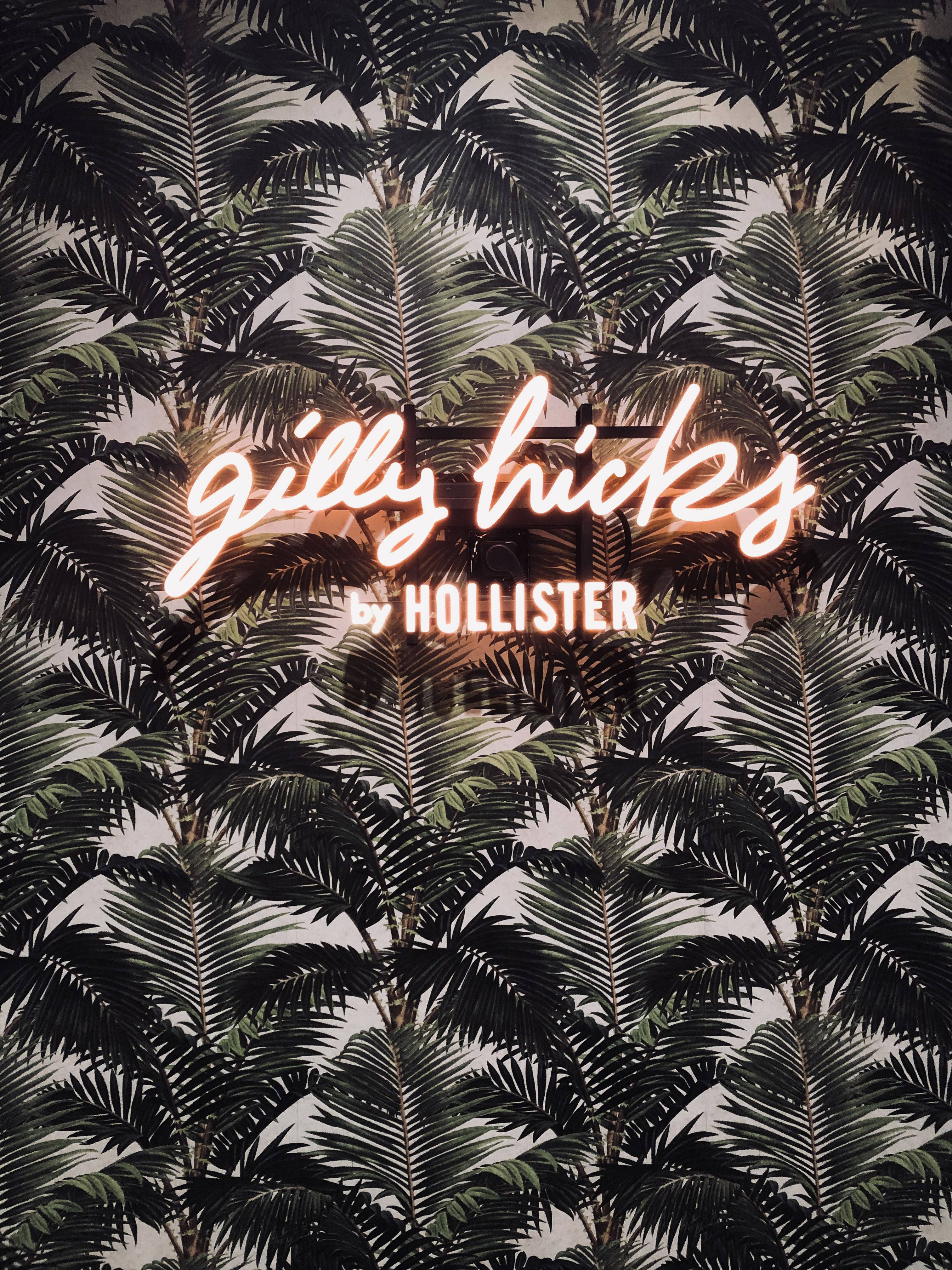 Hollister Palm Tree Leaves Bakgrunner