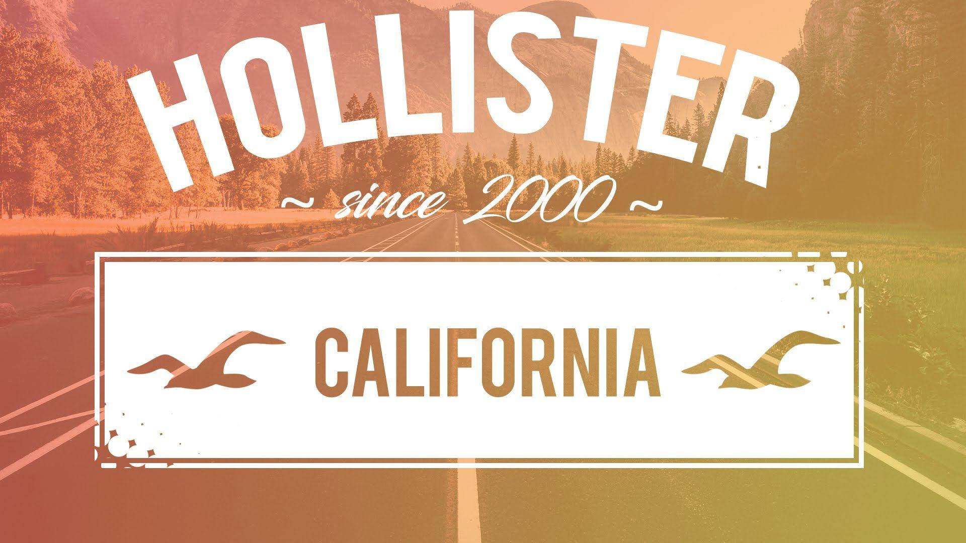 Hollister Since 2000 California Bakgrunner