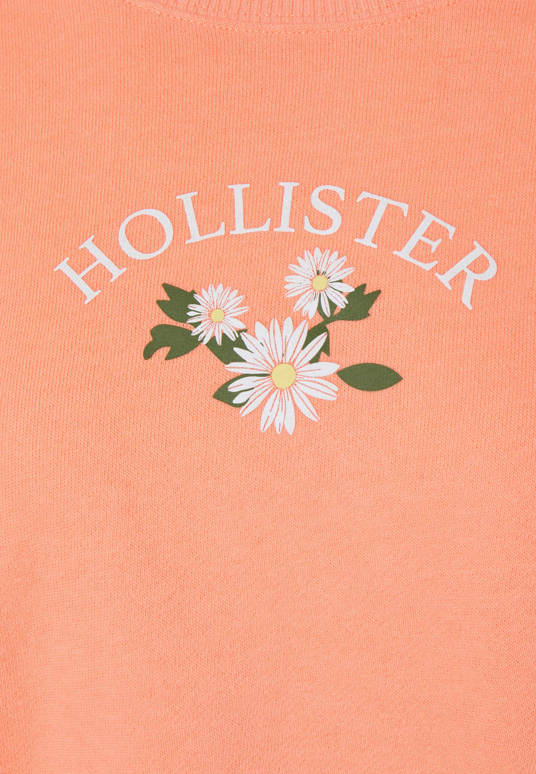 Hollister Tre Hvite Blomsterillustrasjon Bakgrunner