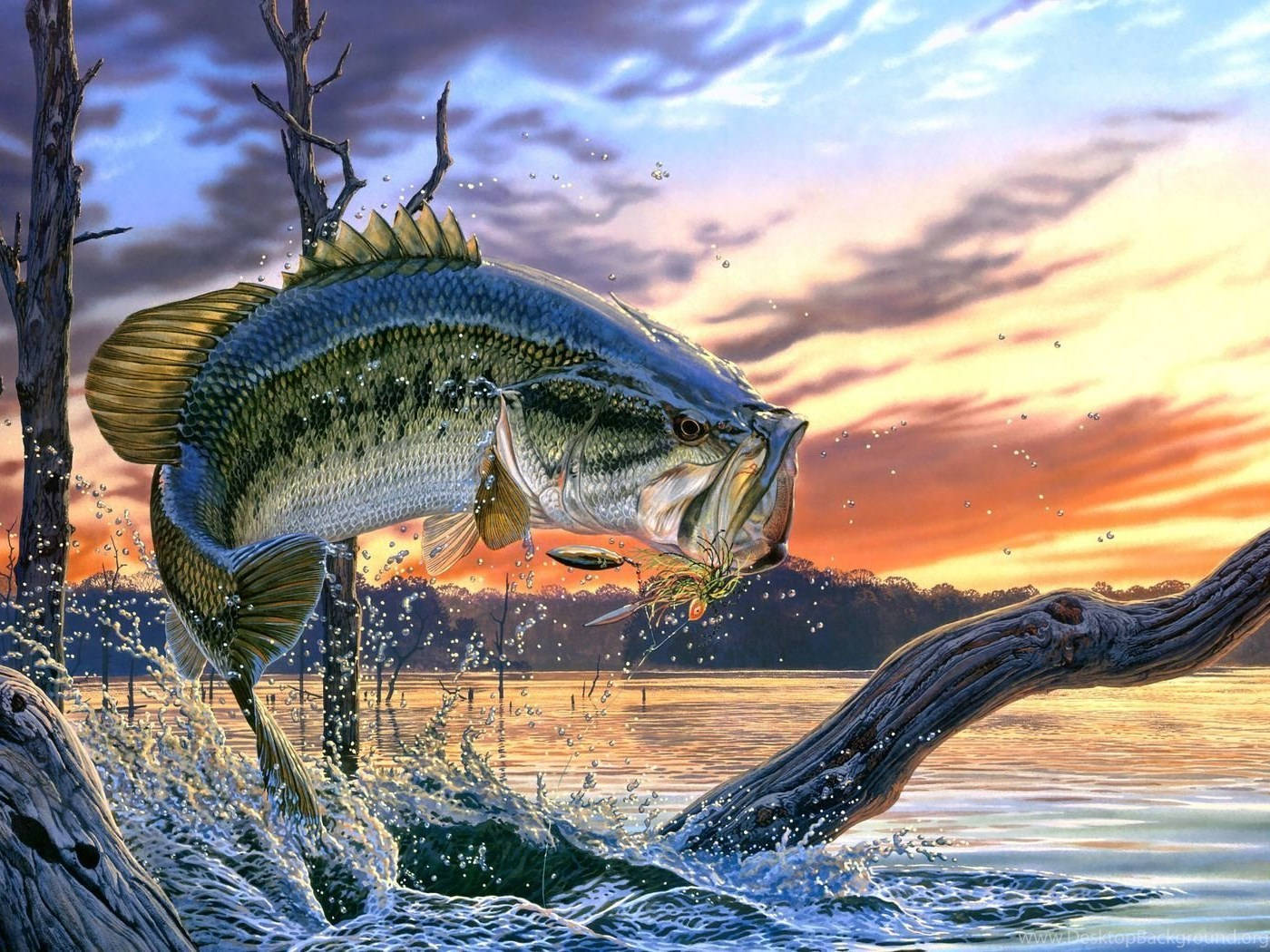 Hoppende stor kul fisk Bakgrunner