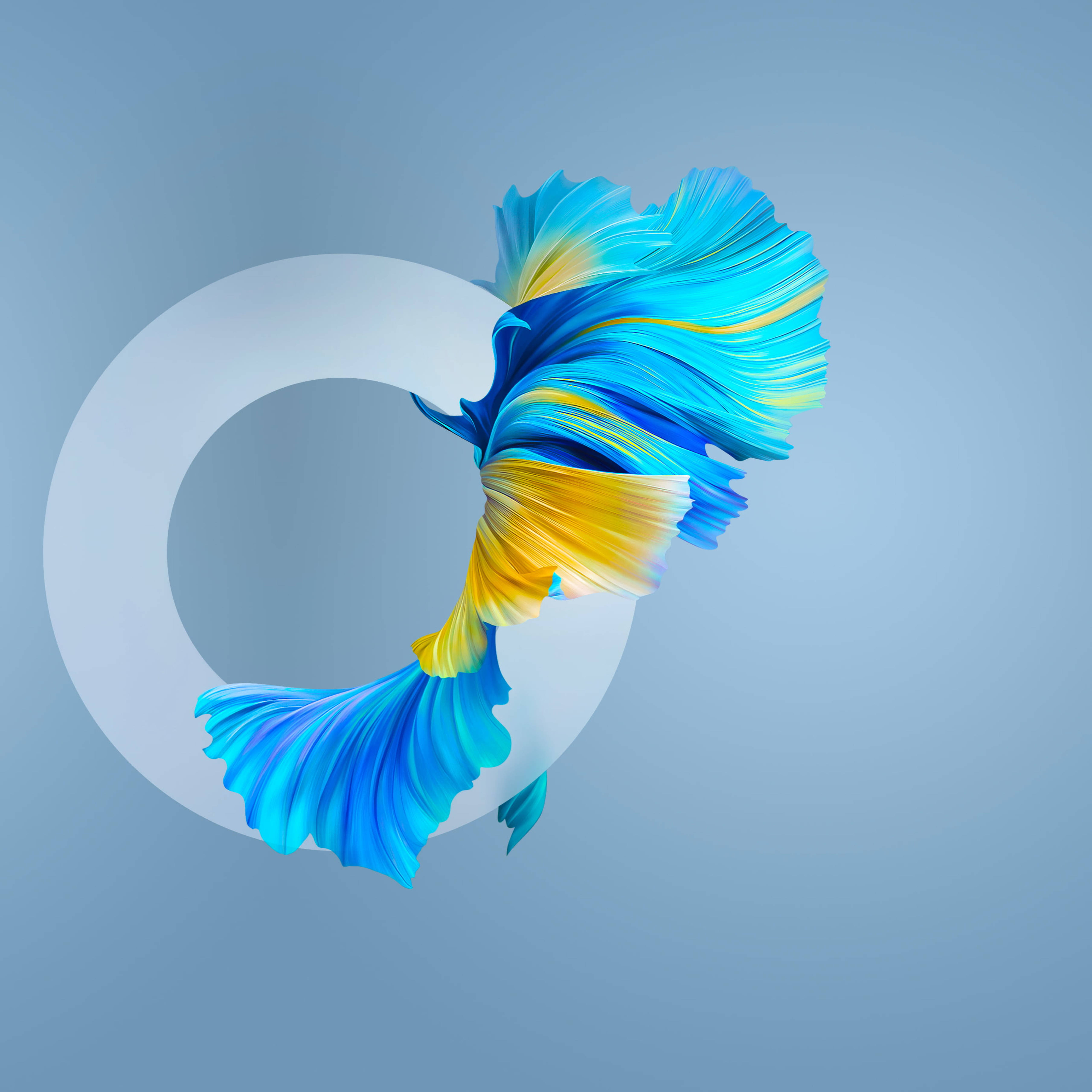Huawei Mate 40 Pro Fish Bakgrunner