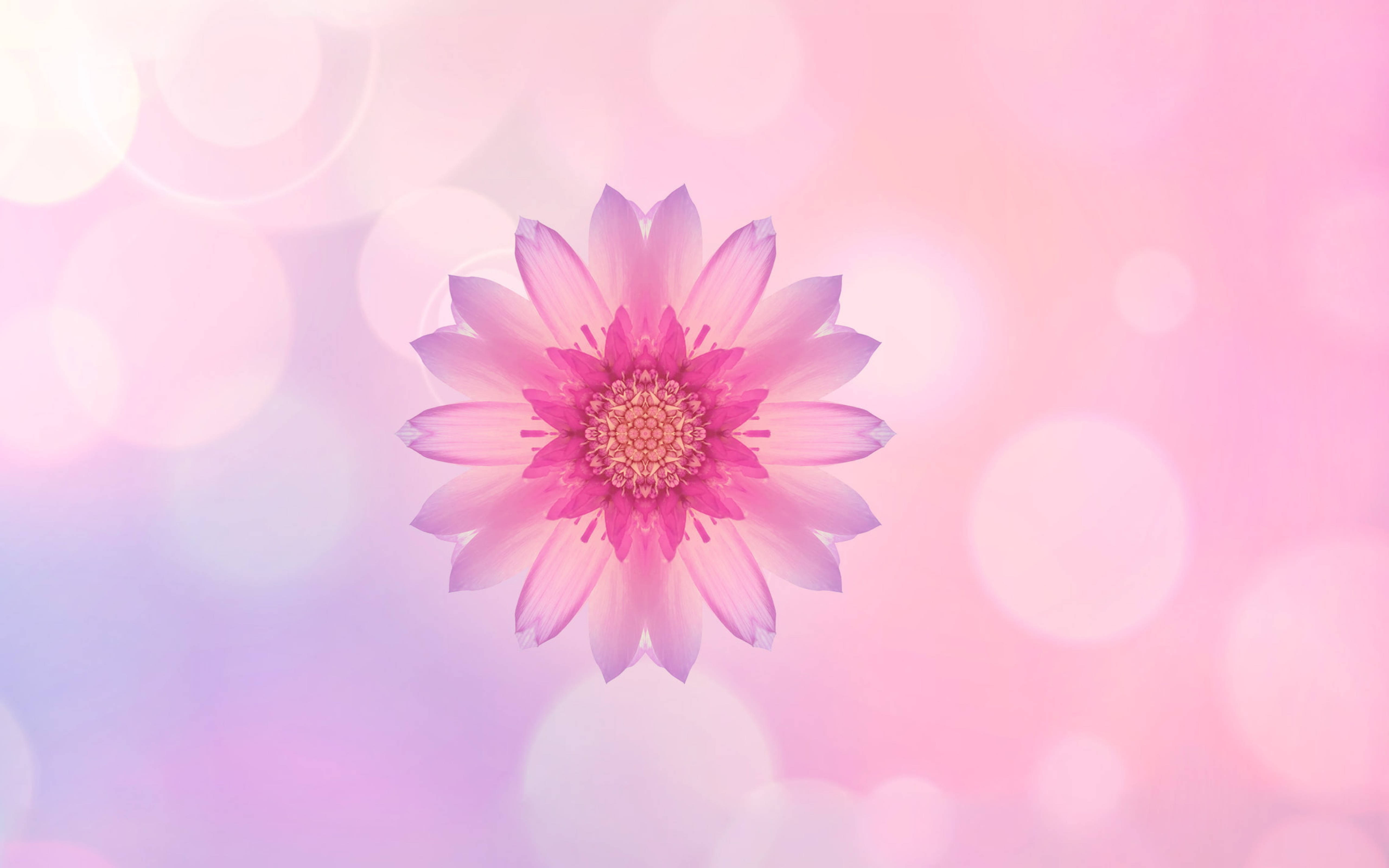 Huawei Pink Flower Bakgrunner