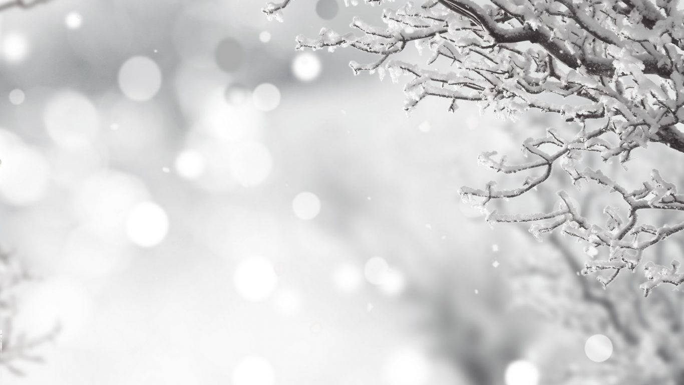 Hvit jul i vinter bakgrunnsbilde
