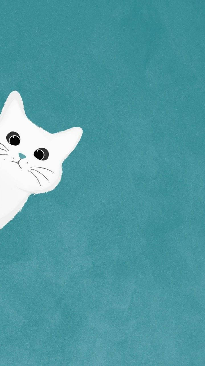 Hvit katt som titter frem – enkel estetikk Bakgrunner
