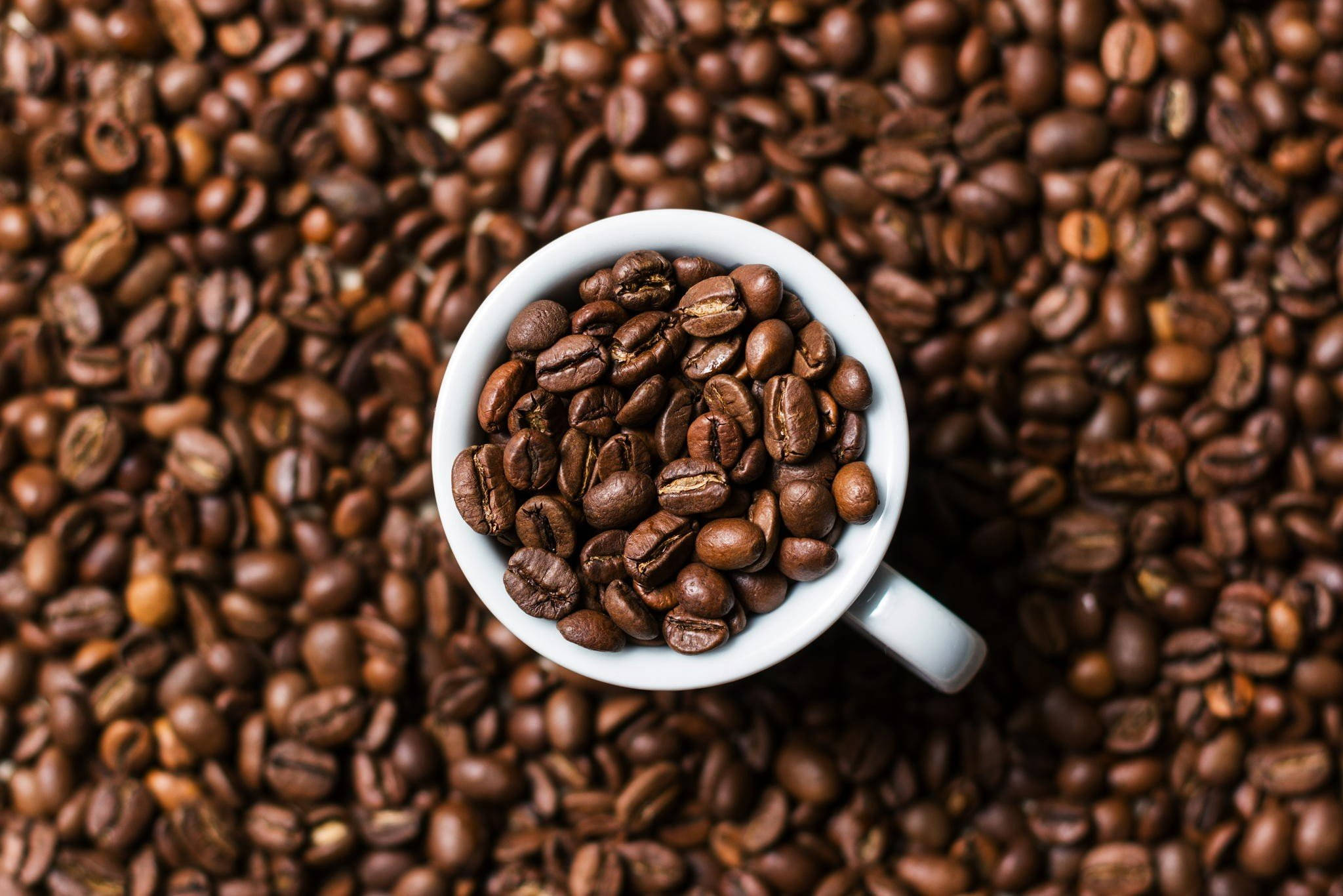Hvit kopp fylt med kaffebønner Bakgrunner