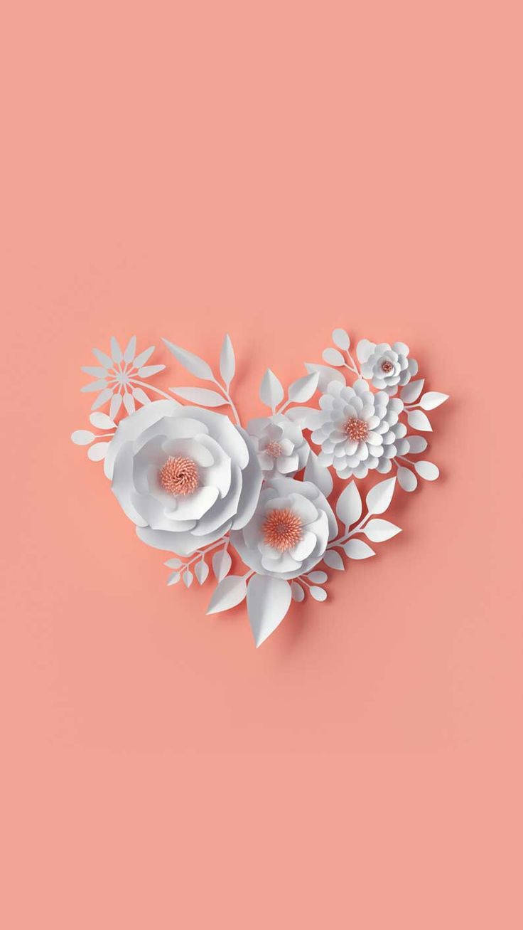 Hvit kunstig blomst Floral iPhone Bakgrunner