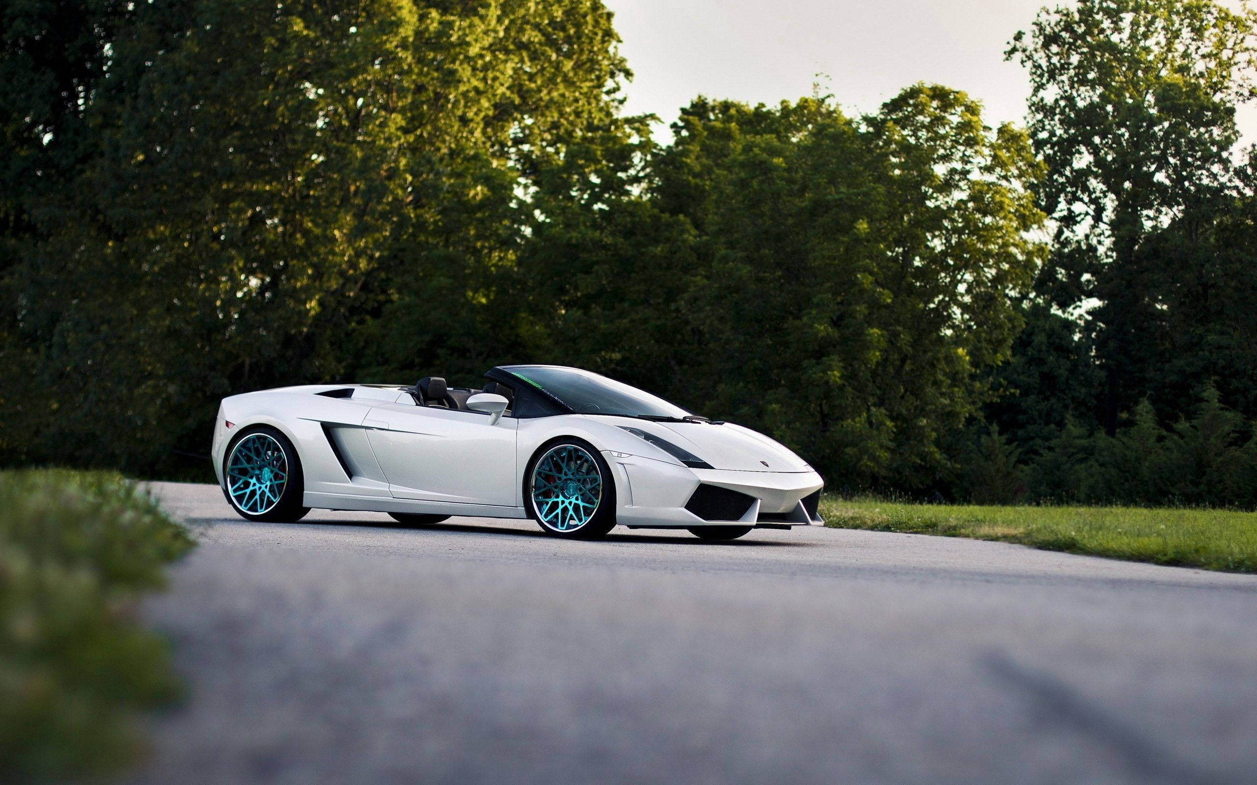 Hvit Lamborghini Gallardo Spyder med åpen tak Bakgrunner