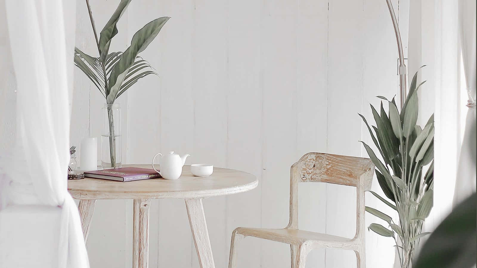 Hvitt dekket bord med planter bakgrunn Bakgrunner