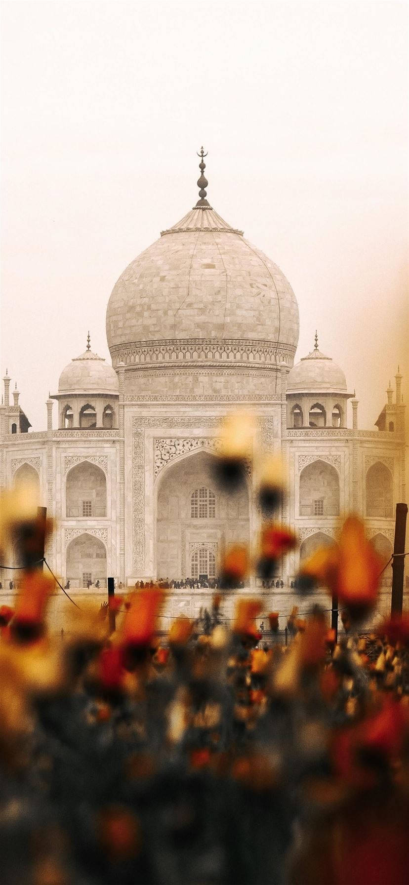 Indisk Estetikk Taj Mahal Blomster Bakgrunner