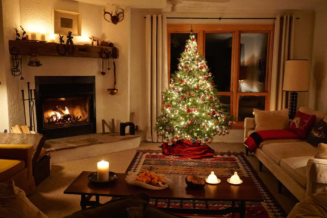 Innendørs juletrebilde Bakgrunner