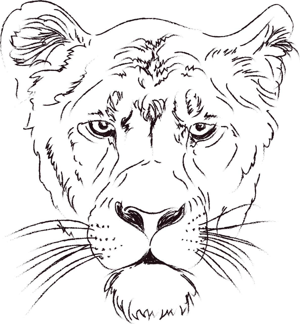 Intens løvinneskisse Bakgrunner