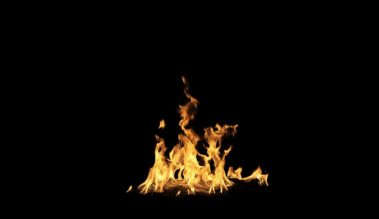 Intense flammer på svart bakgrunn Bakgrunner