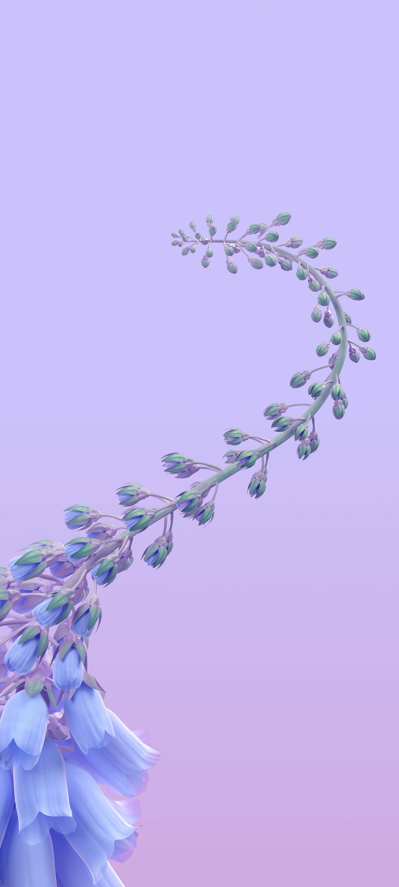 Interaktiv klokkeblomstranke Bakgrunner