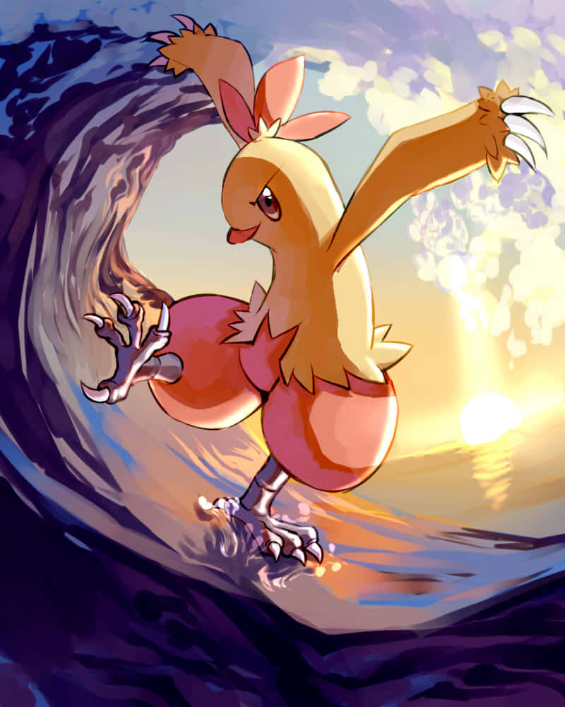 Intrepid Combusken som rir på bølgene Bakgrunner