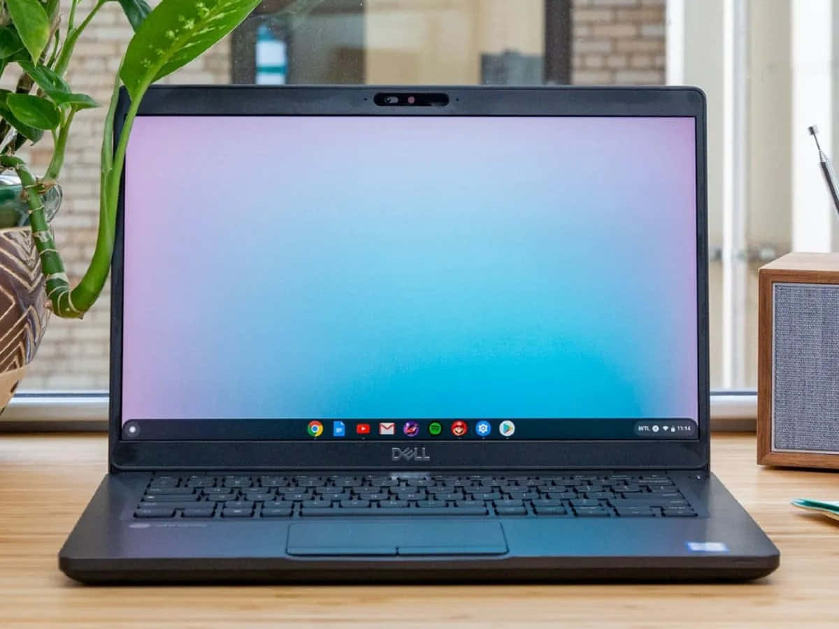Introduksjon av Chromebook: En rimelig og raffinert bærbar PC Bakgrunner