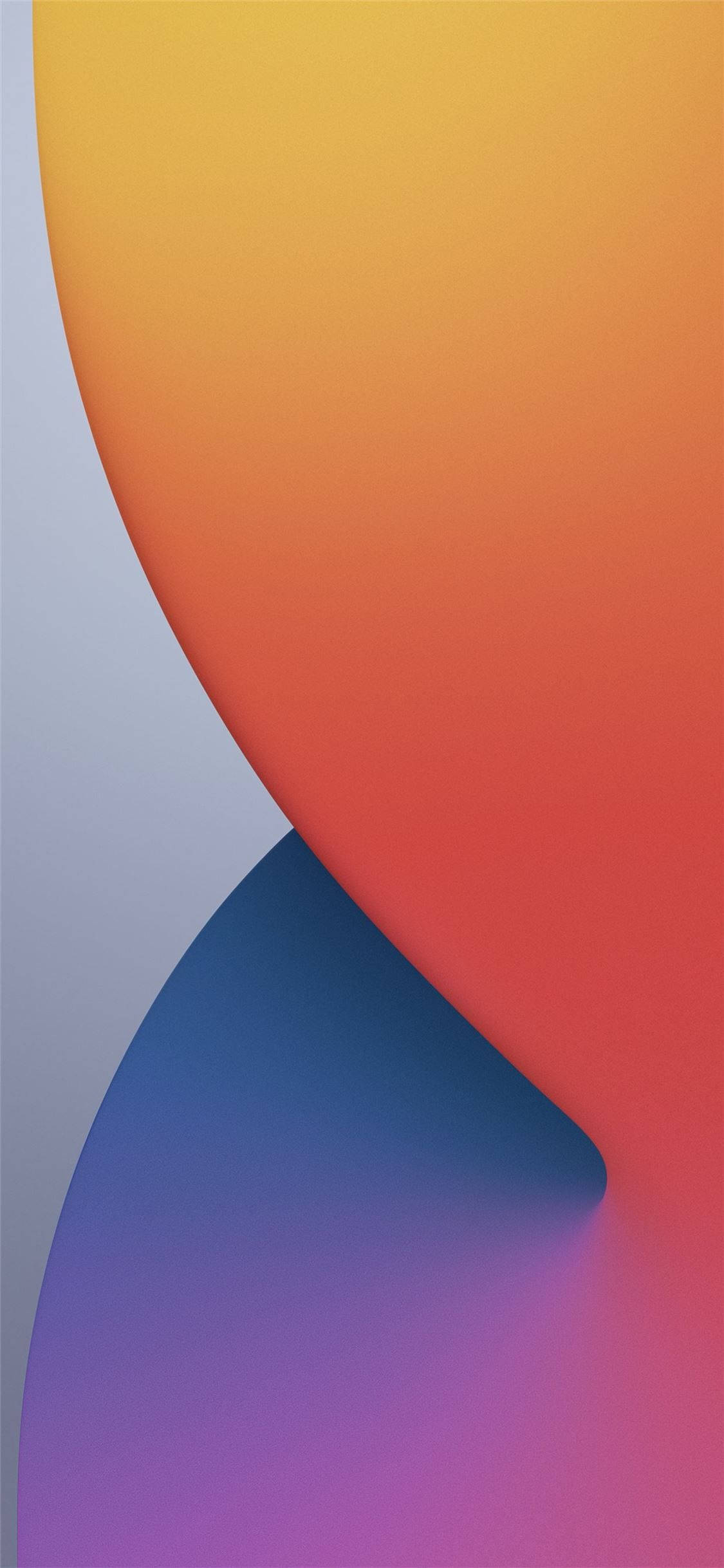 iPhone 12 Standard Orange Fiolett Bakgrunner