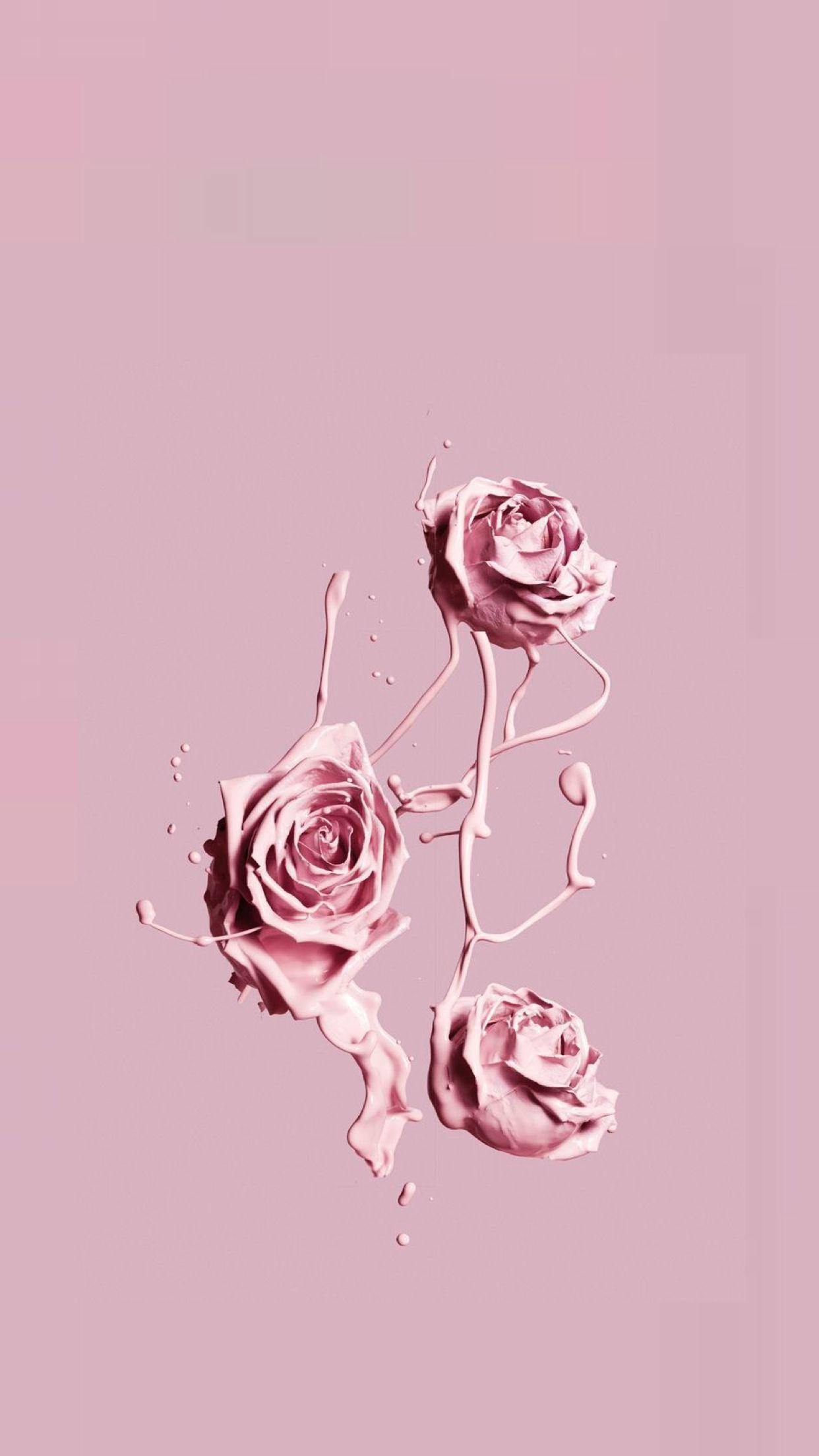 iPhone Rosa Estetisk Rose Maling Bakgrunner