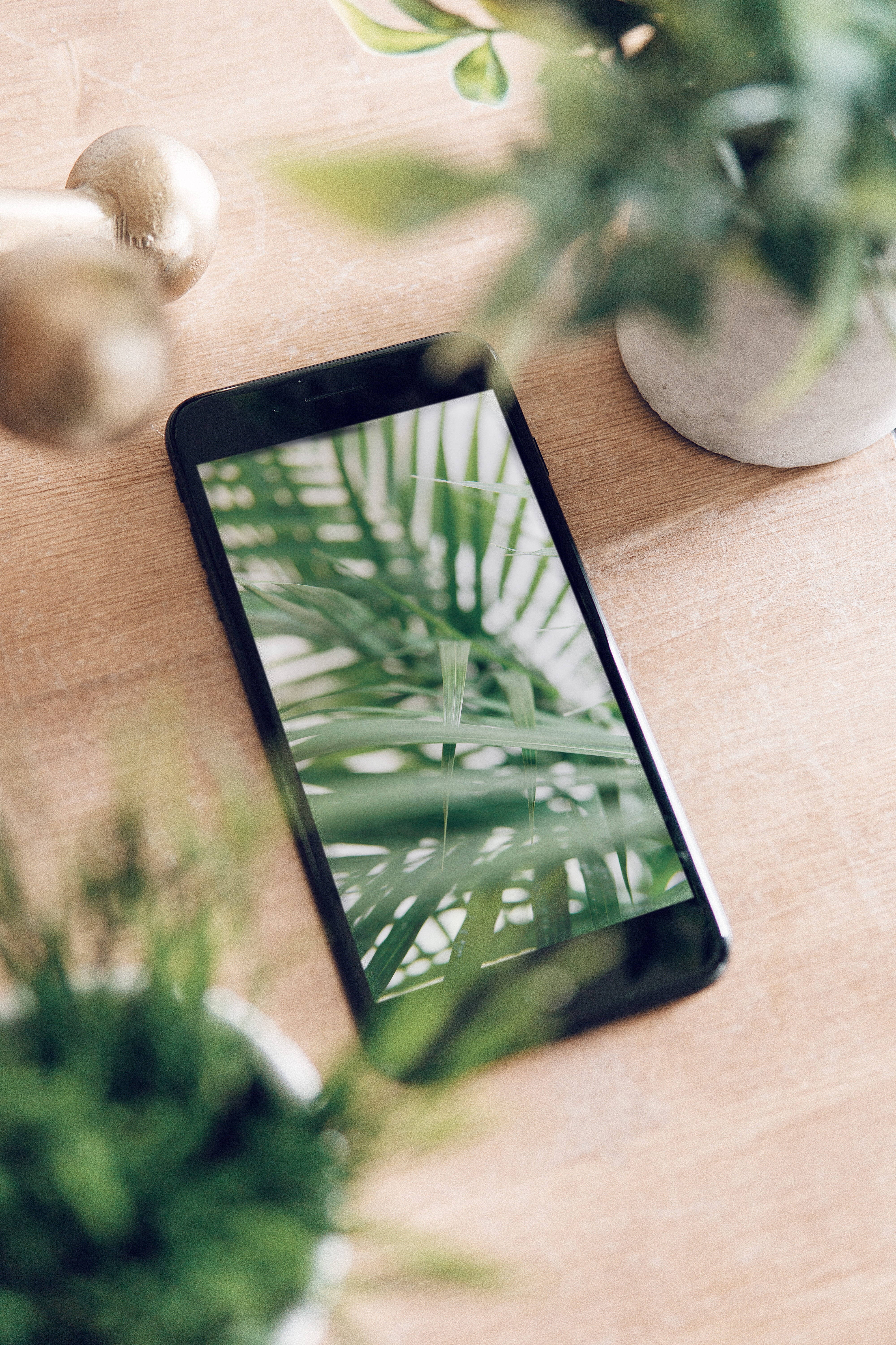 iPhone-skrivebord med planter Bakgrunner