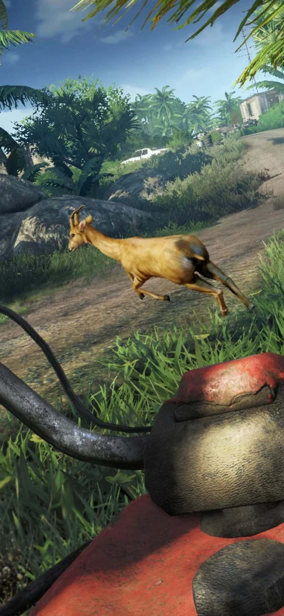 iPhone X Far Cry 3 Hjort Løper Bakgrunn Bakgrunner