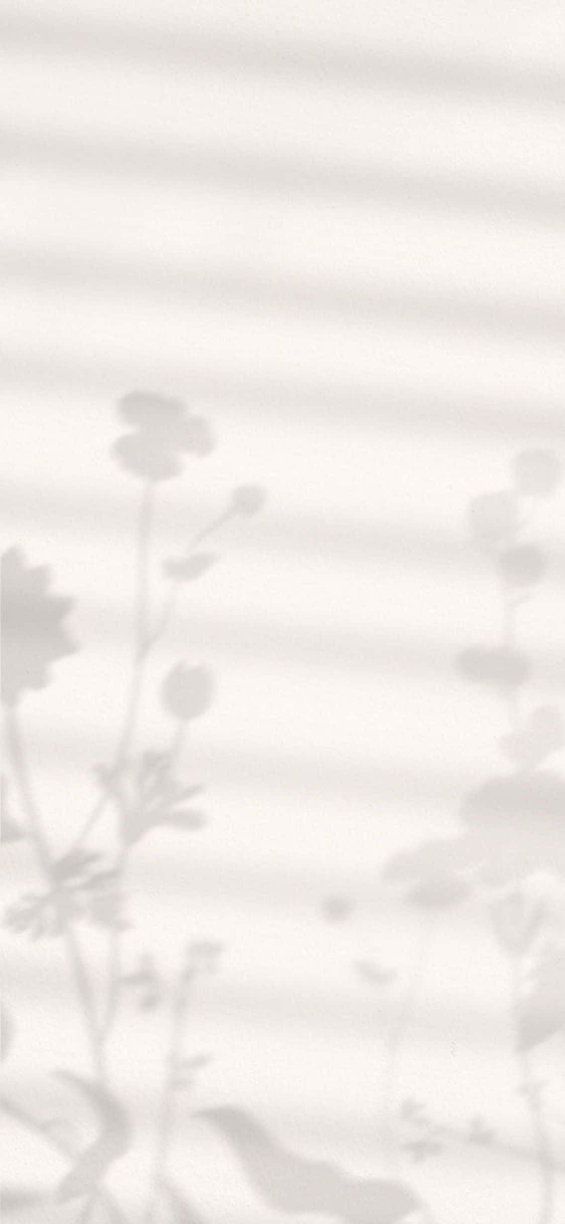 iPhone X-minimalistisk bakgrunnsbilde med blomsterskygger Bakgrunner