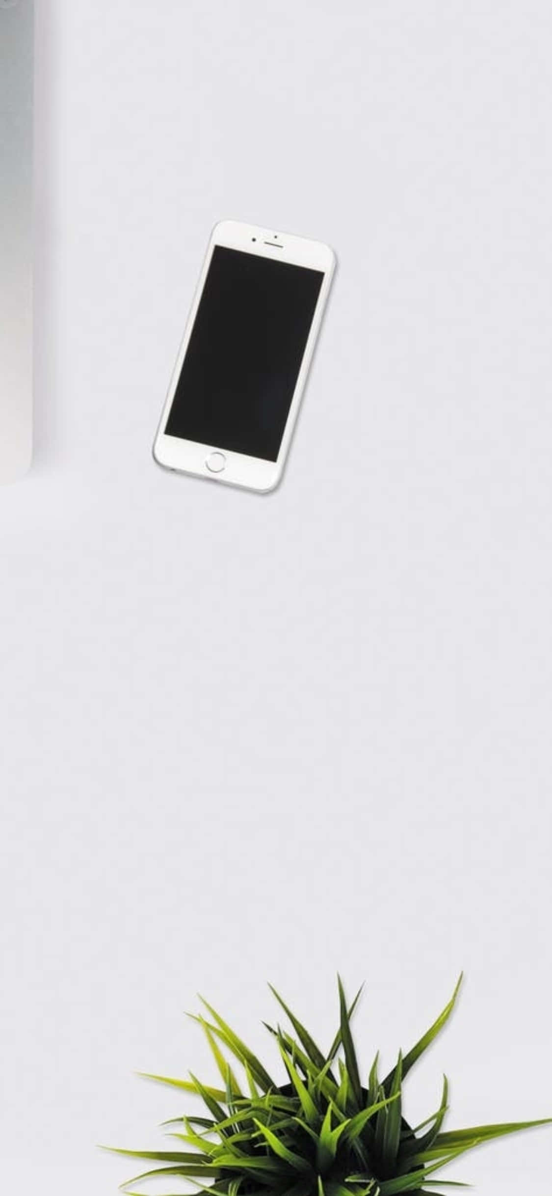 iPhone X Skrivebordsbakgrunn Hvit Telefon Med En Innendørsplante Bakgrunner