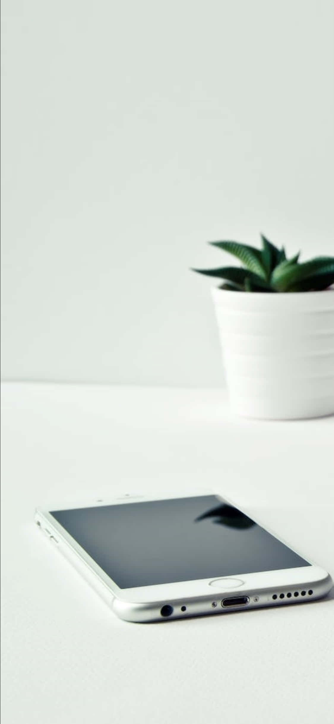 iPhone X Skrivebordsbakgrunn Hvit Telefon og Plante Bakgrunner