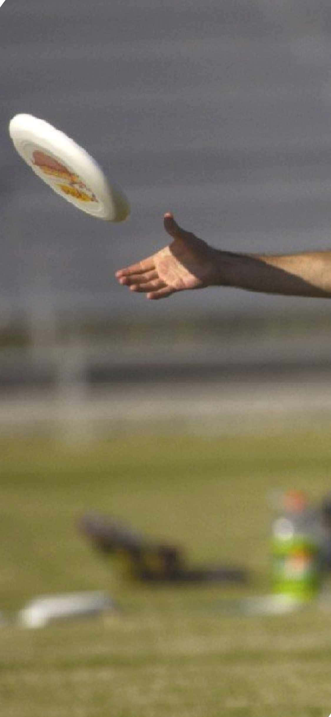 iPhone X ultimate frisbee-bakgrunn med hånd som fanger Bakgrunner