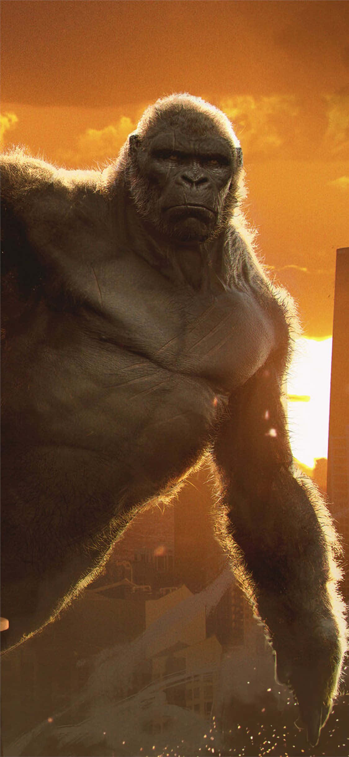 iPhone Xs Max Gorilla Bakgrunn Film King Kong Bakgrunner