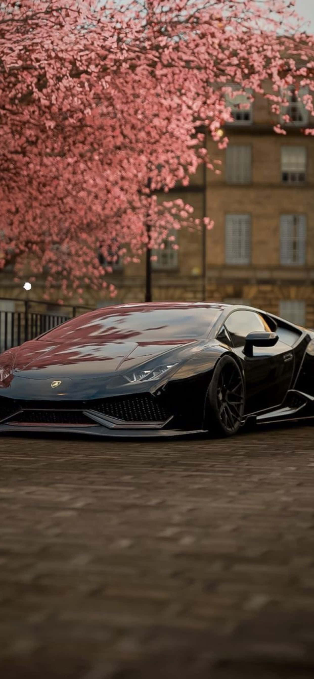 iPhone XS Max Lamborghini Kirsebærblomst Bakgrunn Bakgrunner