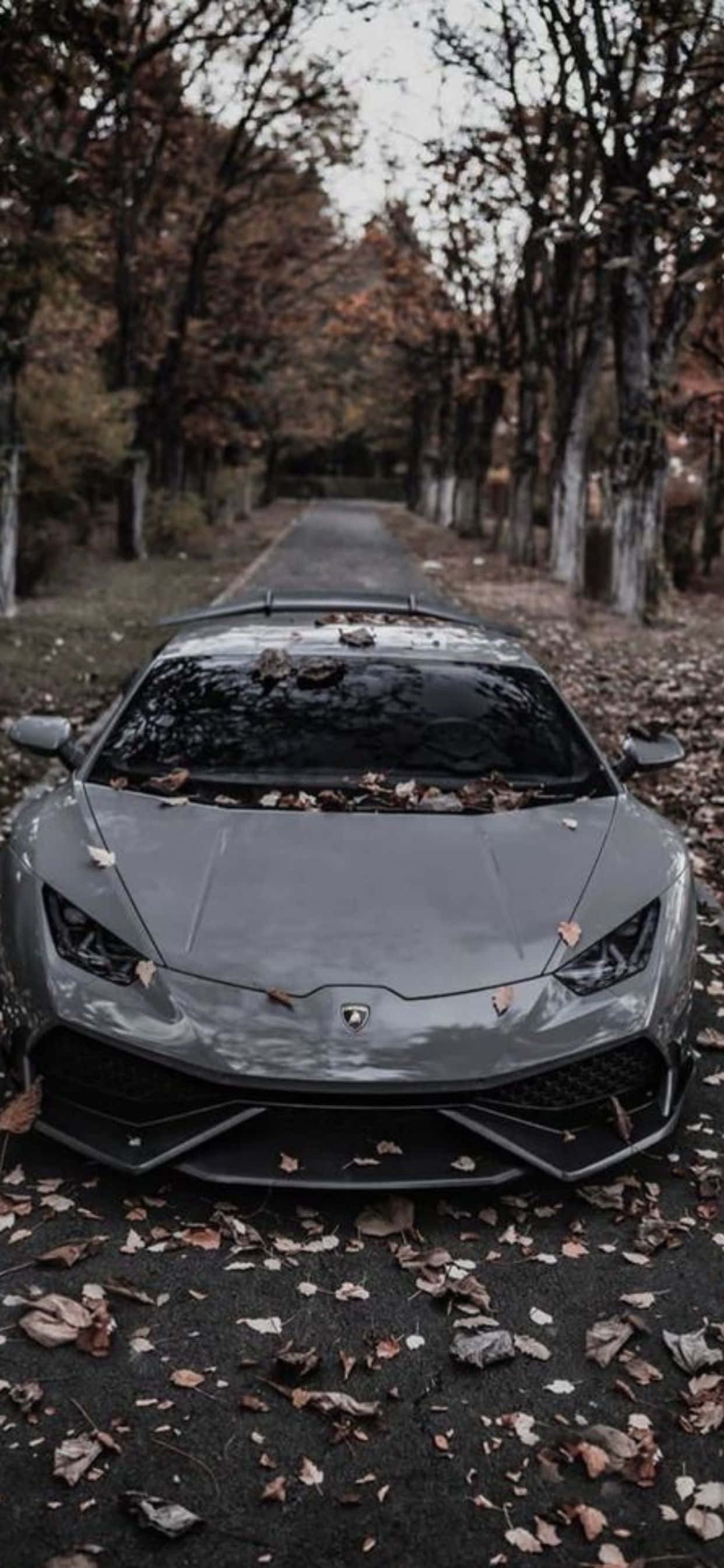 iPhone XS Max Lamborghini Huracan Grå Bil Bakgrunn Bakgrunner