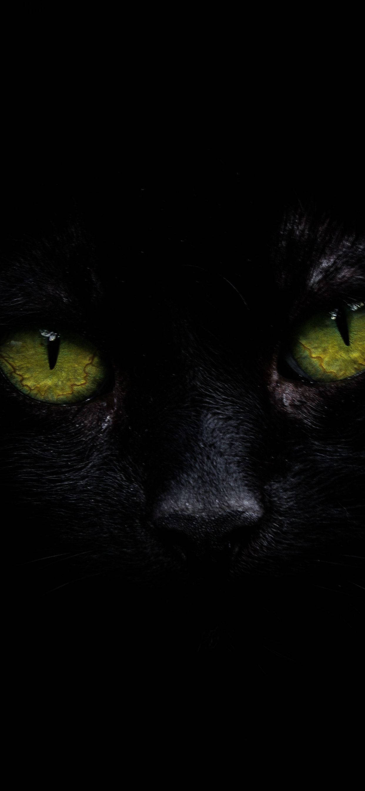 iPhone XS Max OLED Svart Katt Bakgrunner
