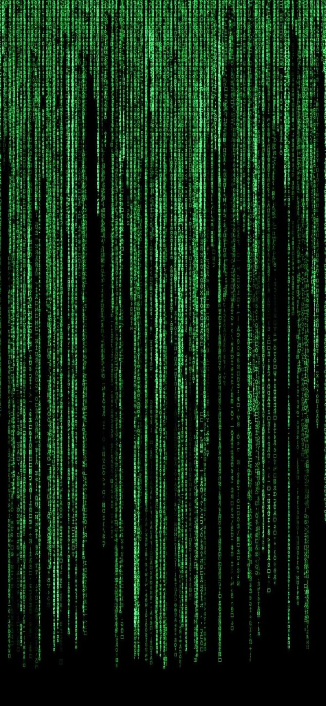 iPhone Xs Programmeringsbakgrunn Grønn Matrise Bakgrunner