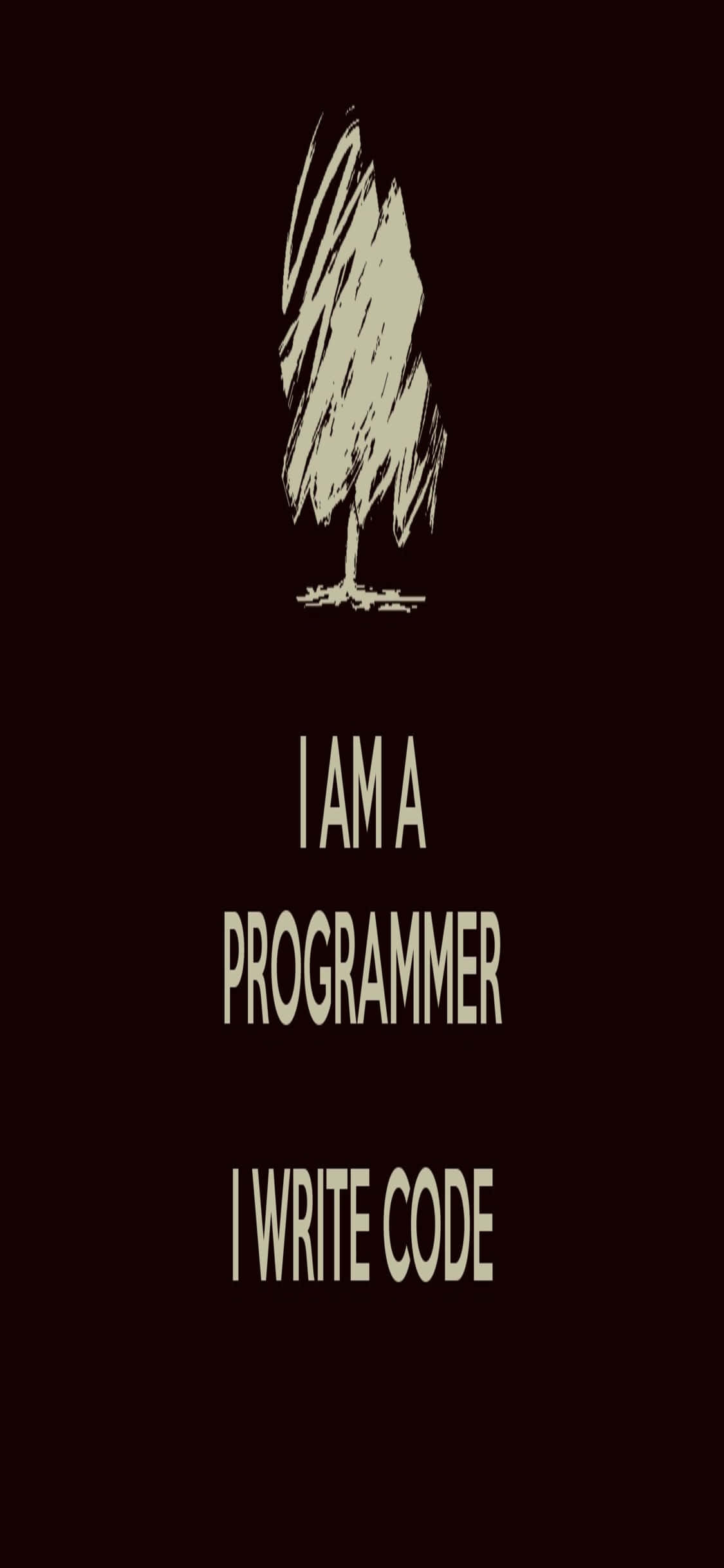 iPhone Xs Programmeringsbakgrunn Programmerersitat Bakgrunner