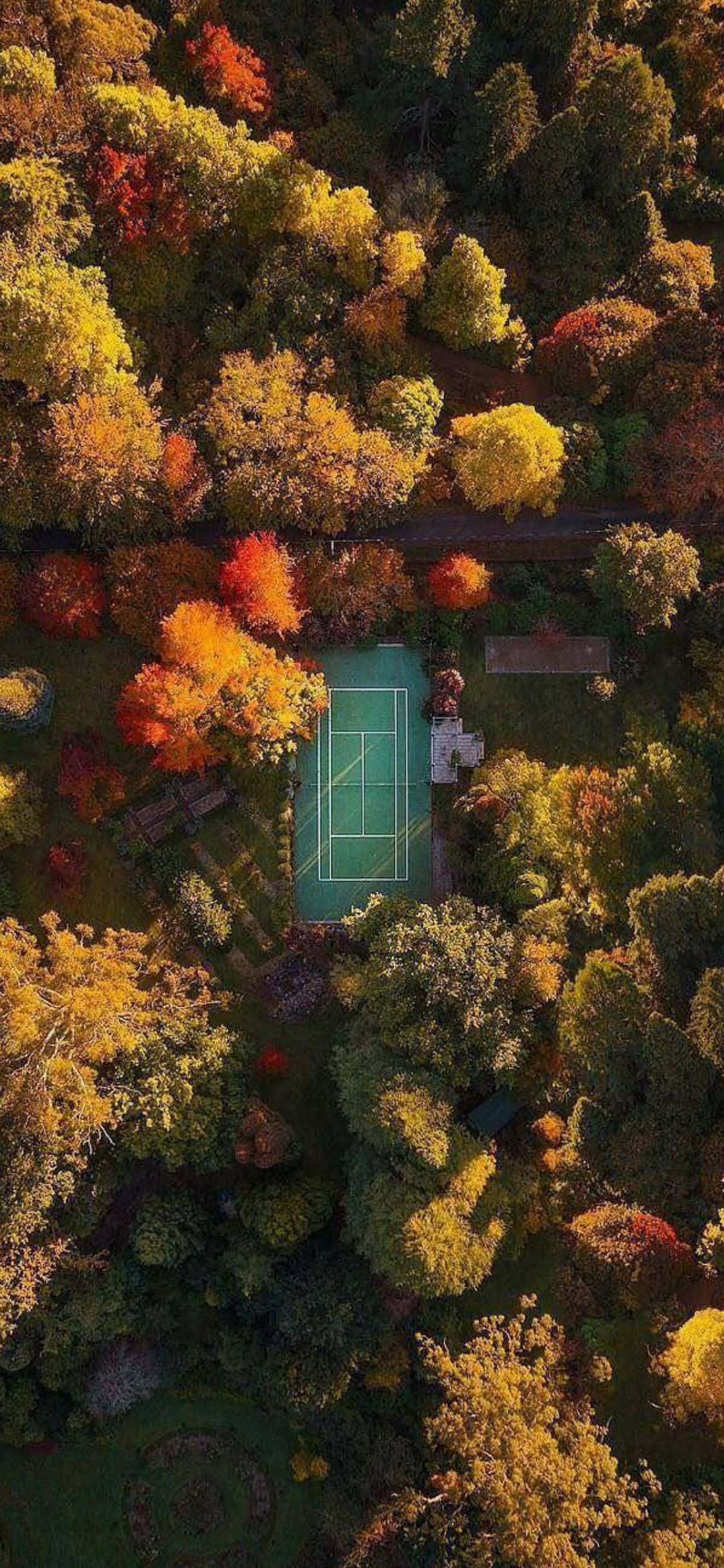 iPhone Xs Tennis Bakgrunn Bakgrunner