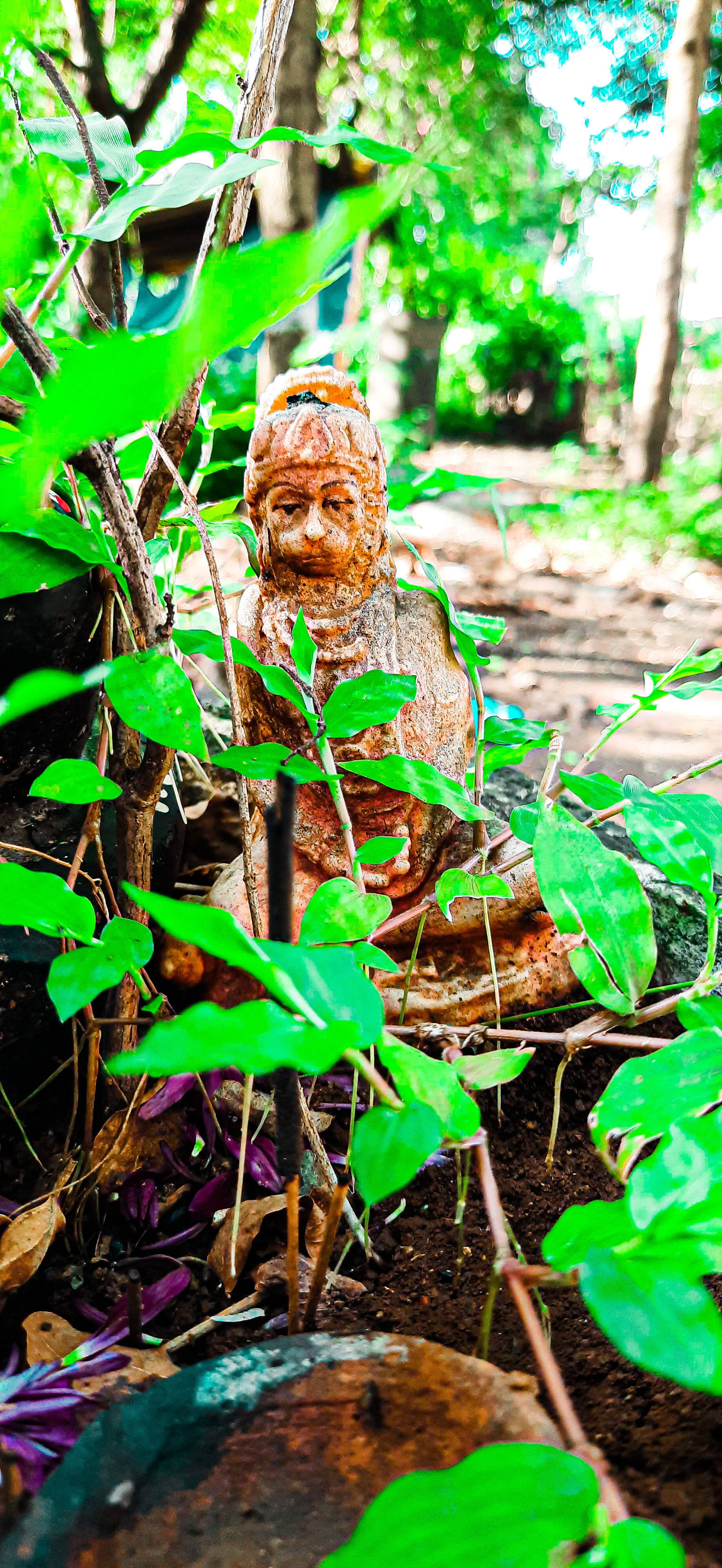 Jai Shree Ram HD Skogstatue Bakgrunner