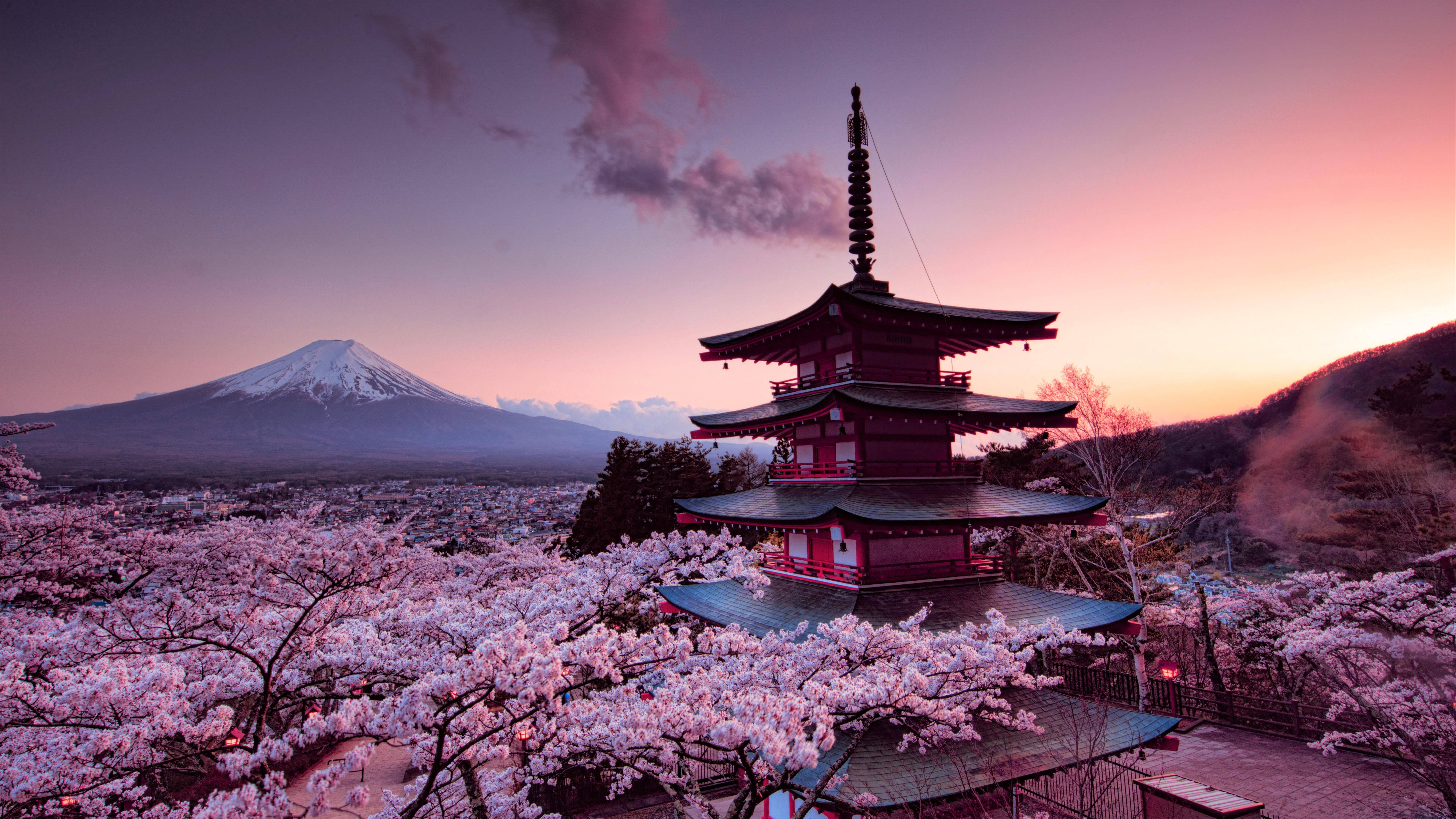 Japan 4K Fuji Kirsebærblomster Bakgrunner
