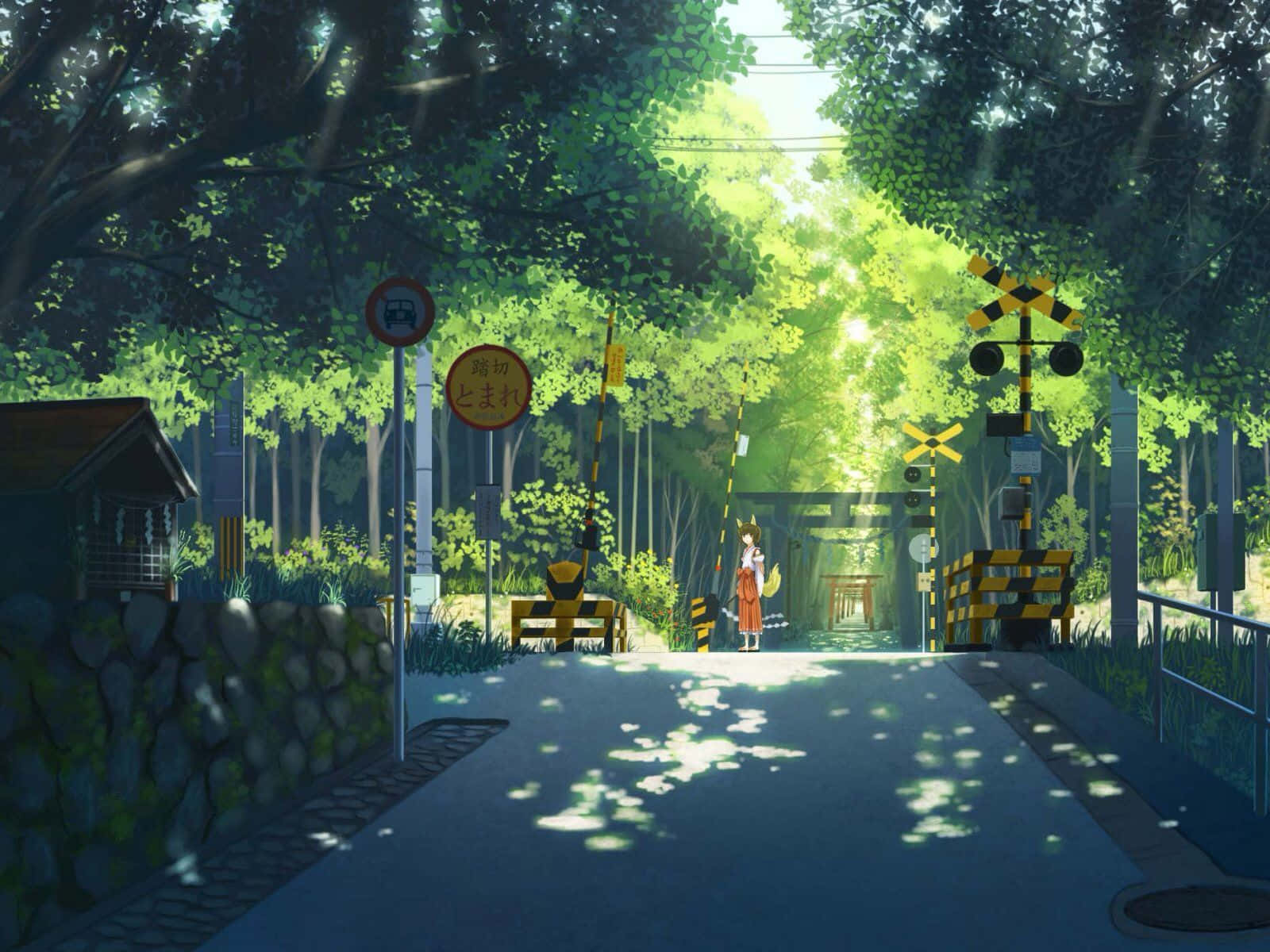 Japan Grønn Animegate Bakgrunner