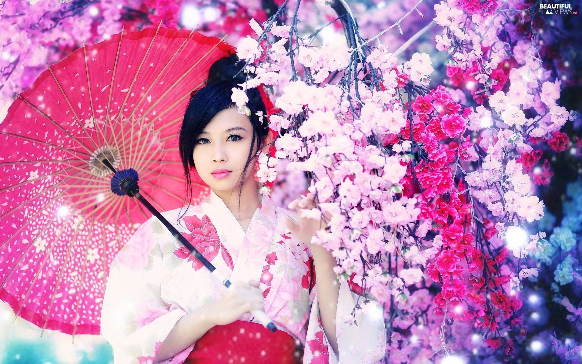 Japan Jente Rosa Blomster Estetikk Bakgrunner