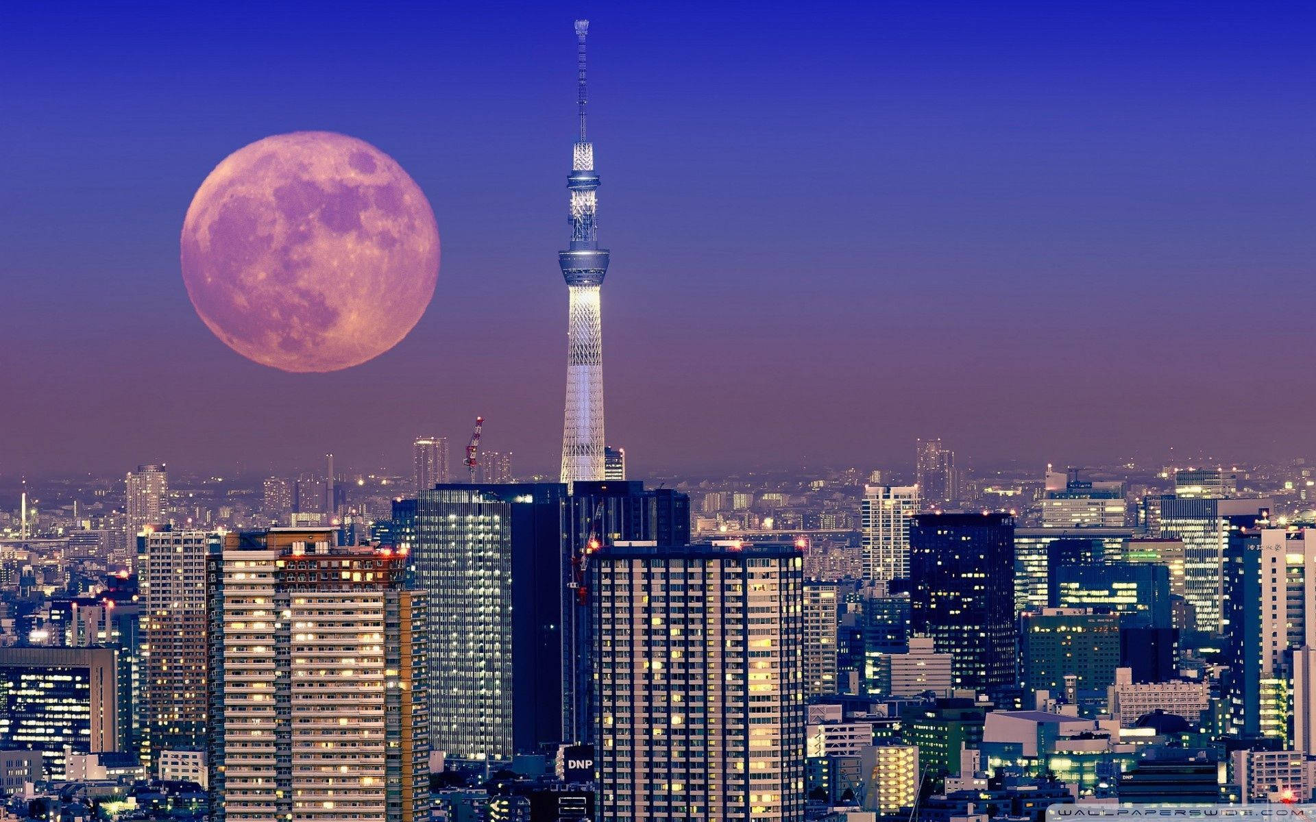 Japansk estetikk Tokyo Tower og måne til datamaskin Bakgrunner