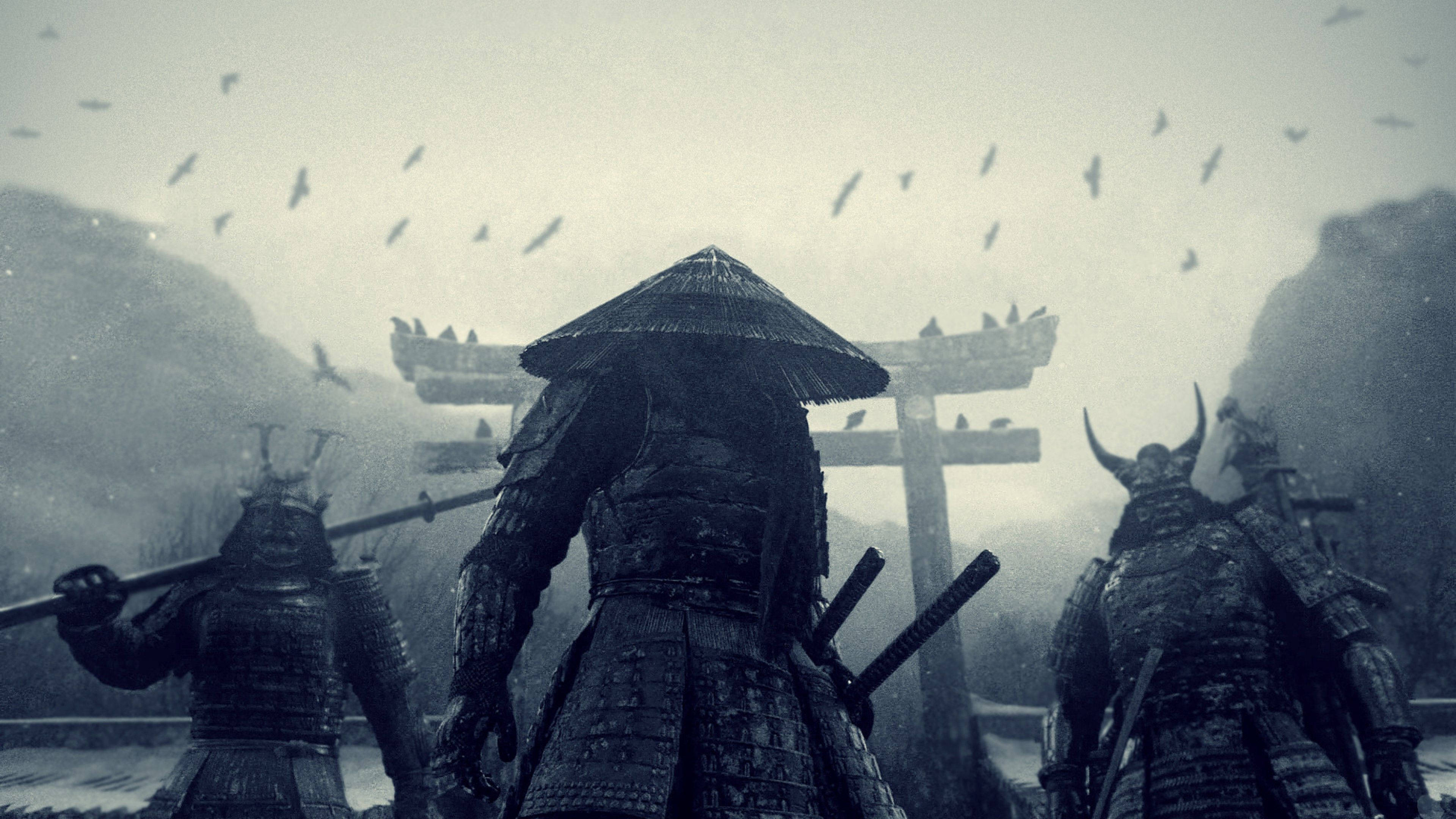 Japanske samuraikrigere Bakgrunner