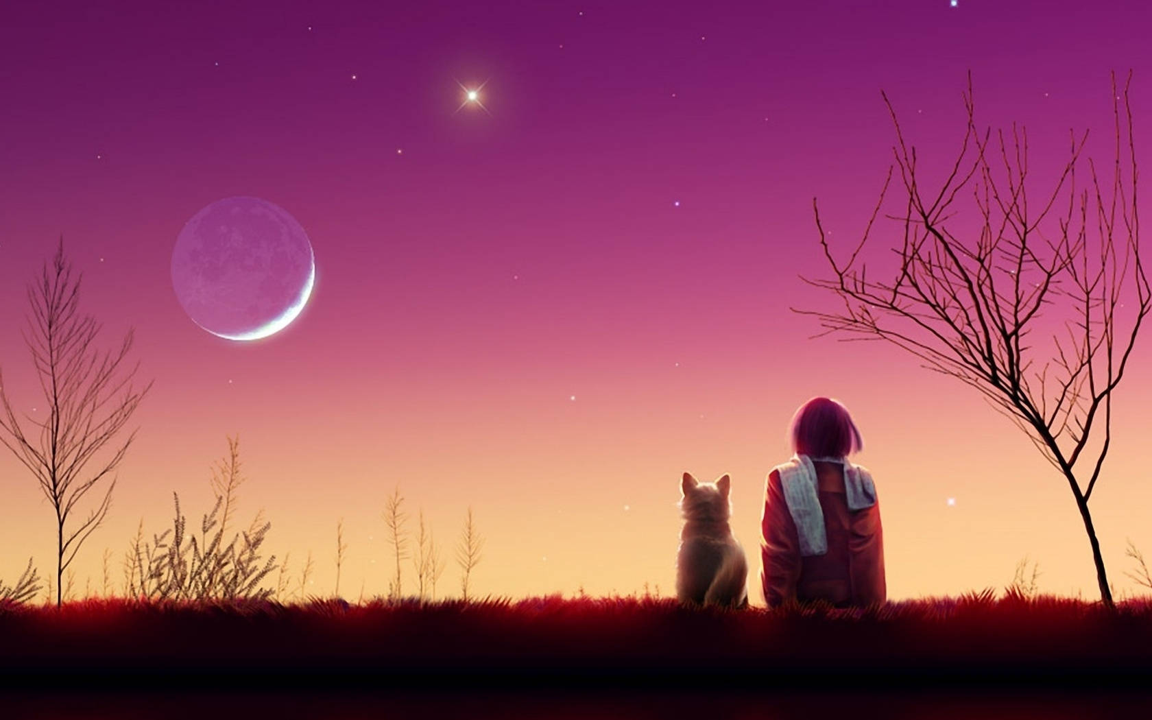 Jente og katt anime estetisk solnedgang Bakgrunner